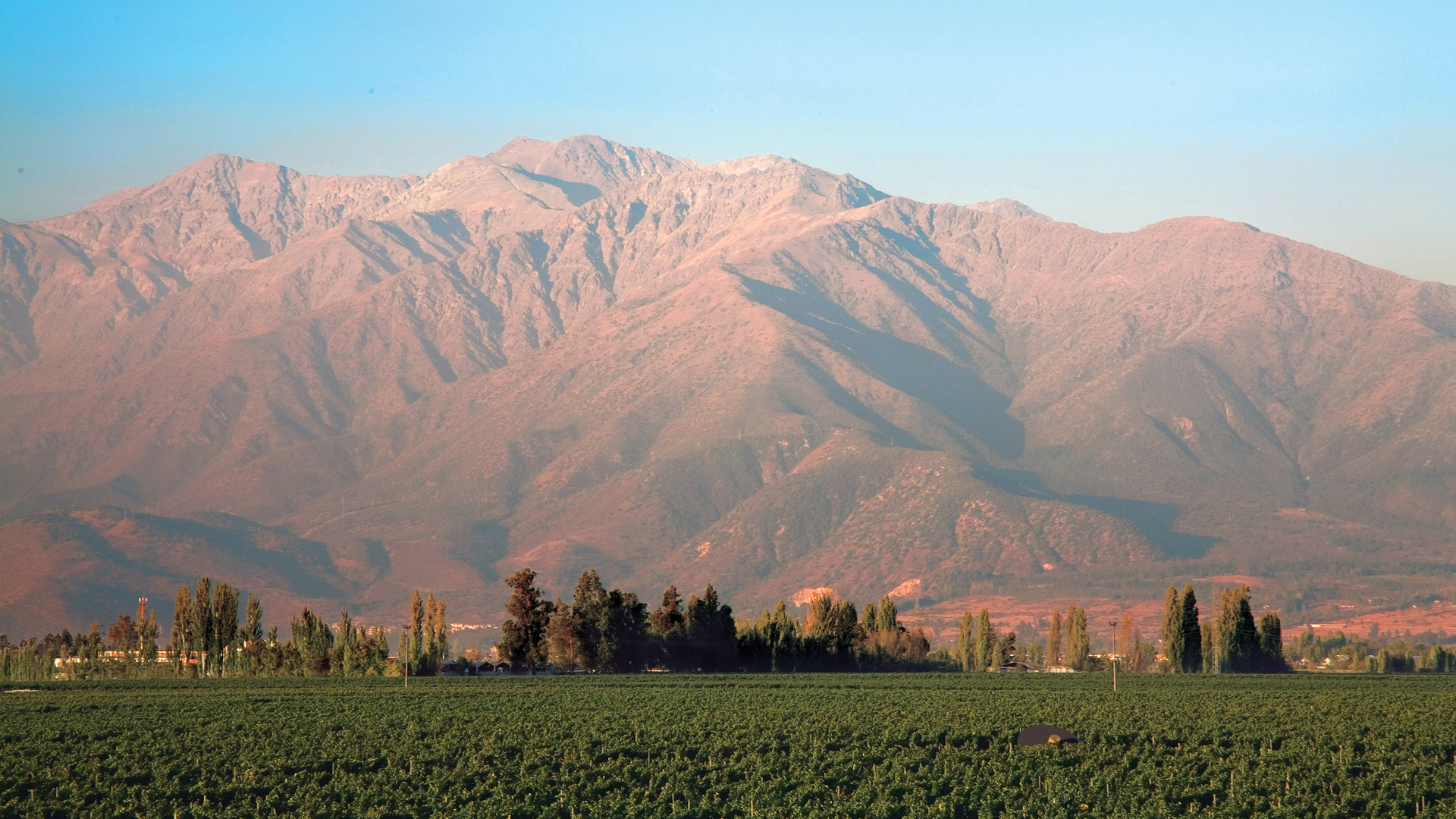 Wine - Buy Online | Wine.com