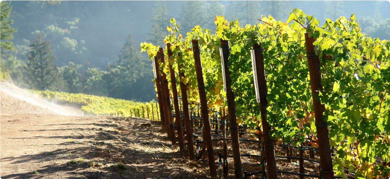 Hundred 2024 acre winery