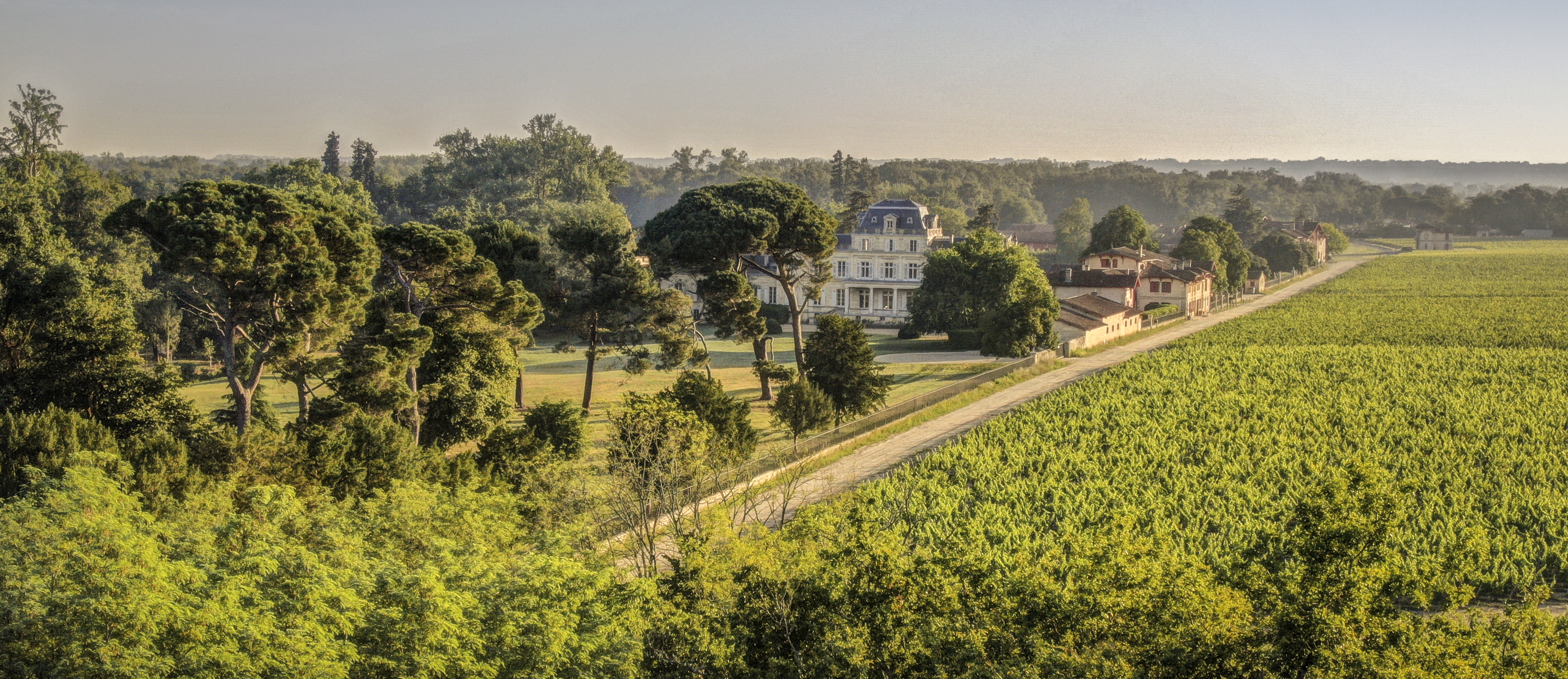 Chateau Giscours Wine - Learn About & Buy Online | Wine.com