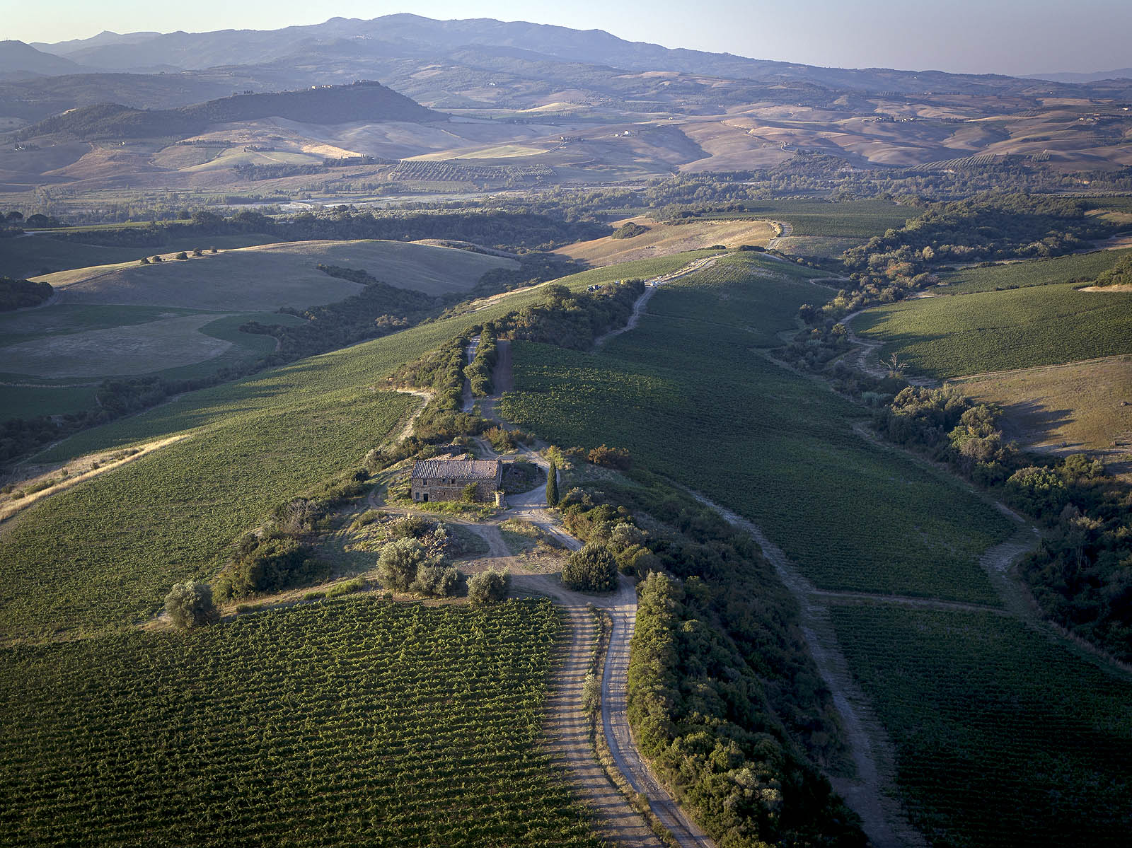 Brunello di Montalcino docg Casanova di Neri 2016