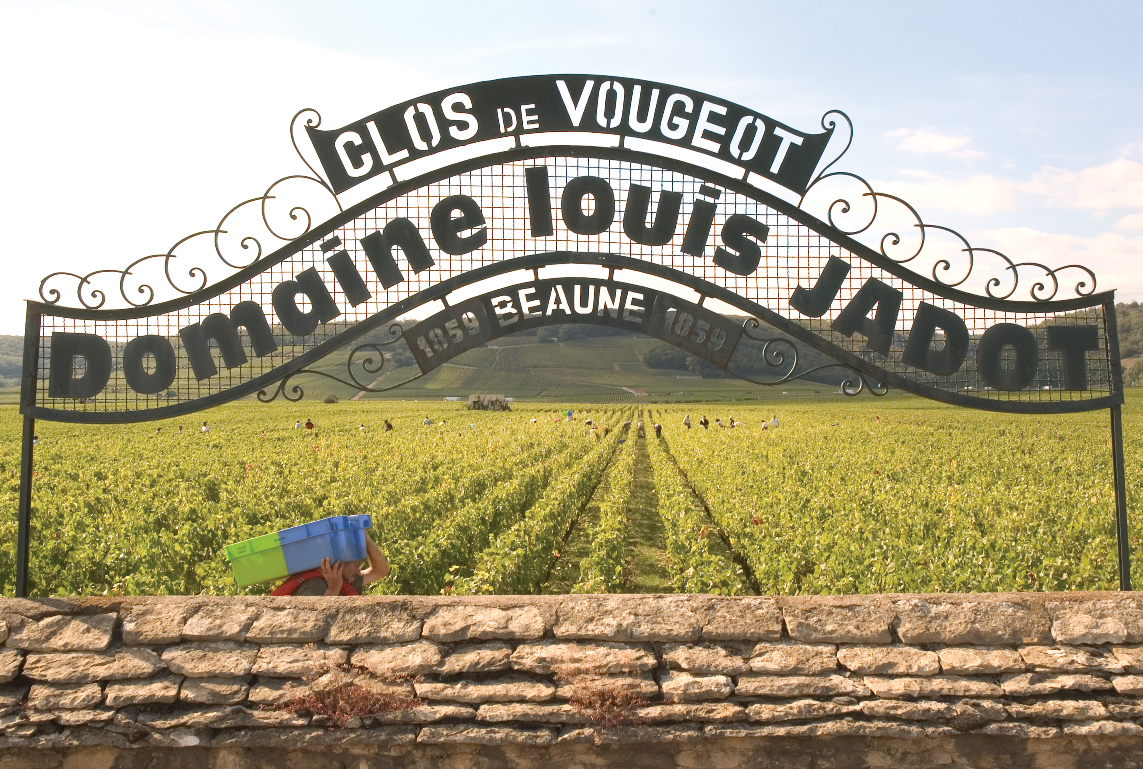 Louis Jadot Beaujolais Villages 2022, Elegant and Fruity Red Wine