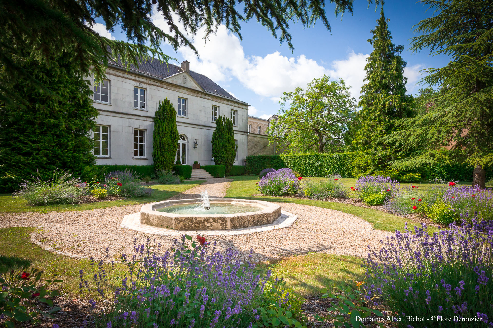 Clos des Maréchaudes Corton Grand Cru Bichot Corton Grand Cru Clos Des Marechaudes Monopole Domaine du