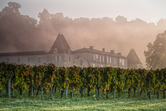 ☆希少☆Château Lassègue1983 Saint-Émilion ☆希少☆Château Lassègue1983 Saint-Émilion - メルカリ