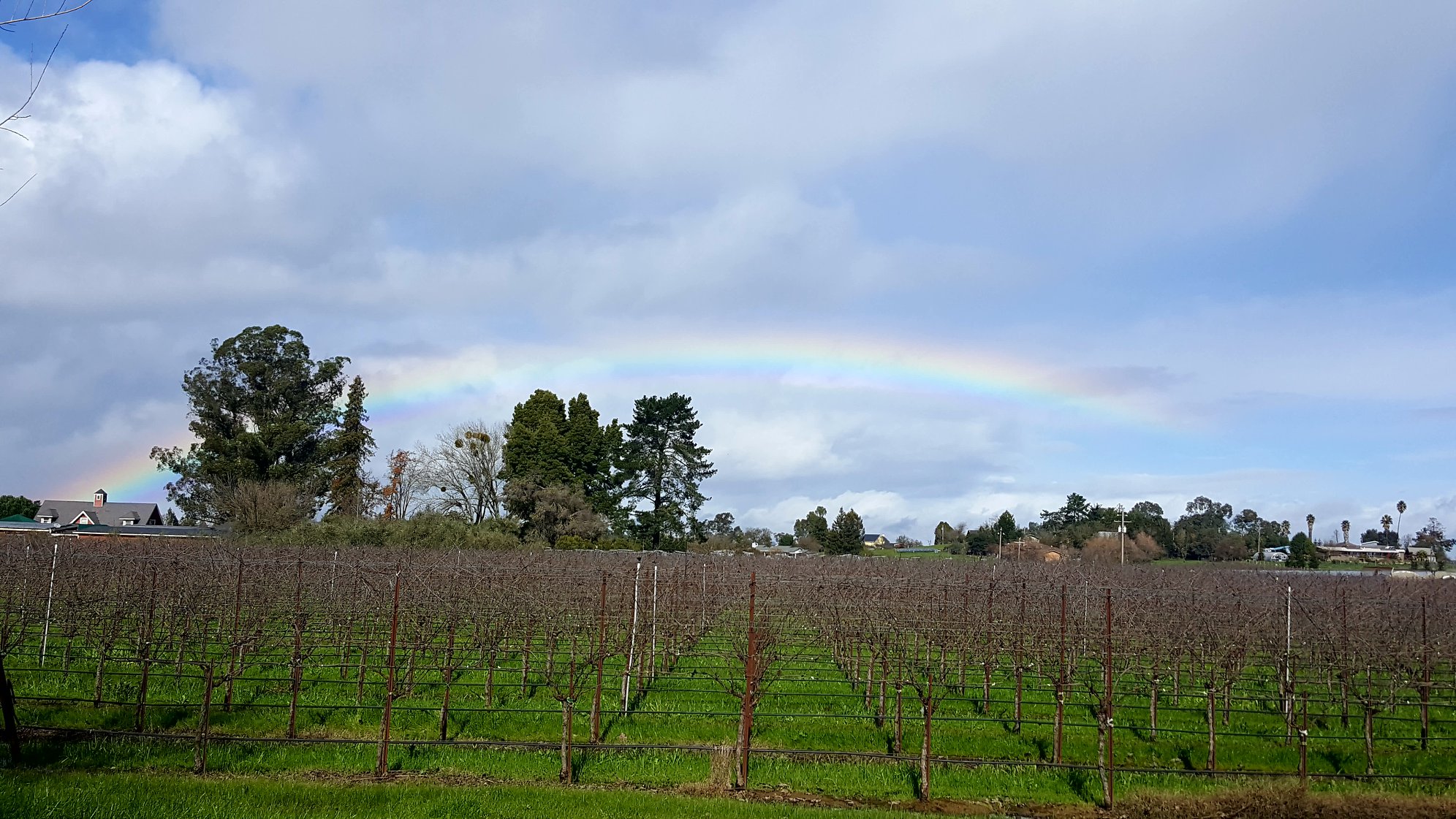 hook and ladder chalk hill cabernet 2018