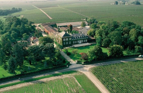 Chateau Talbot 2021 | Wine.com