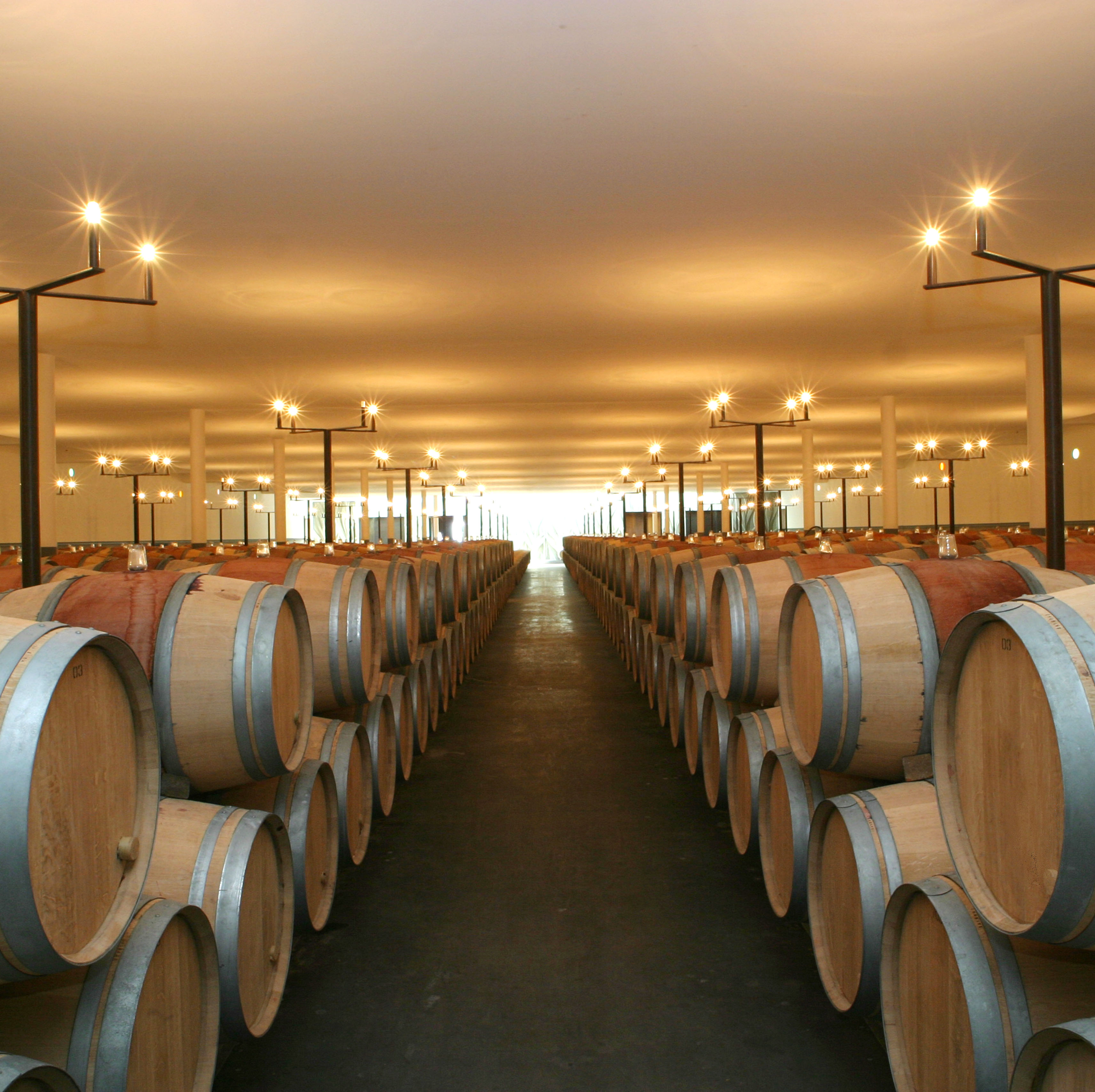 Chateau Ducru-Beaucaillou 2020 | Wine.com