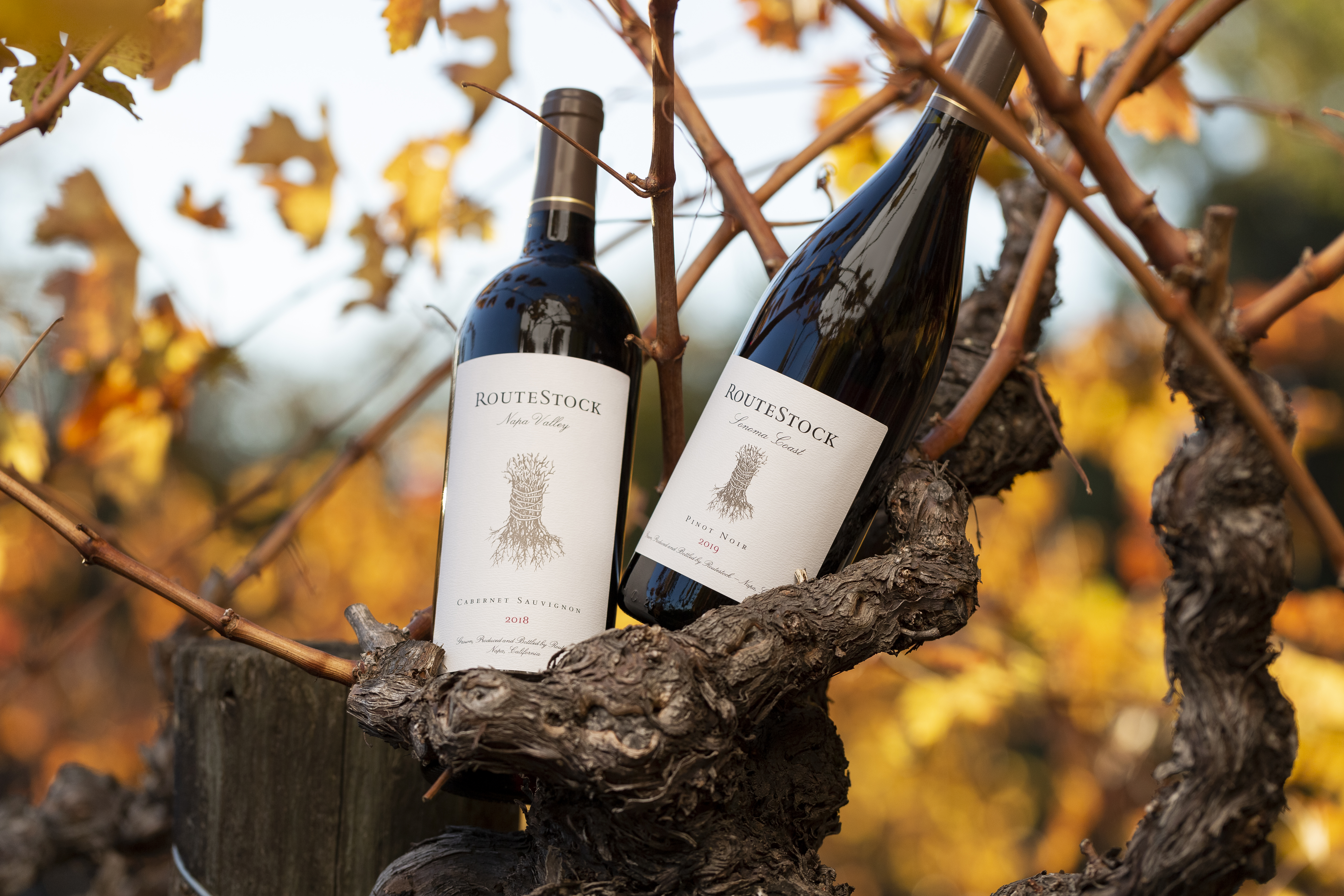 RouteStock Napa Valley Cabernet Sauvignon 2022 | Wine.com