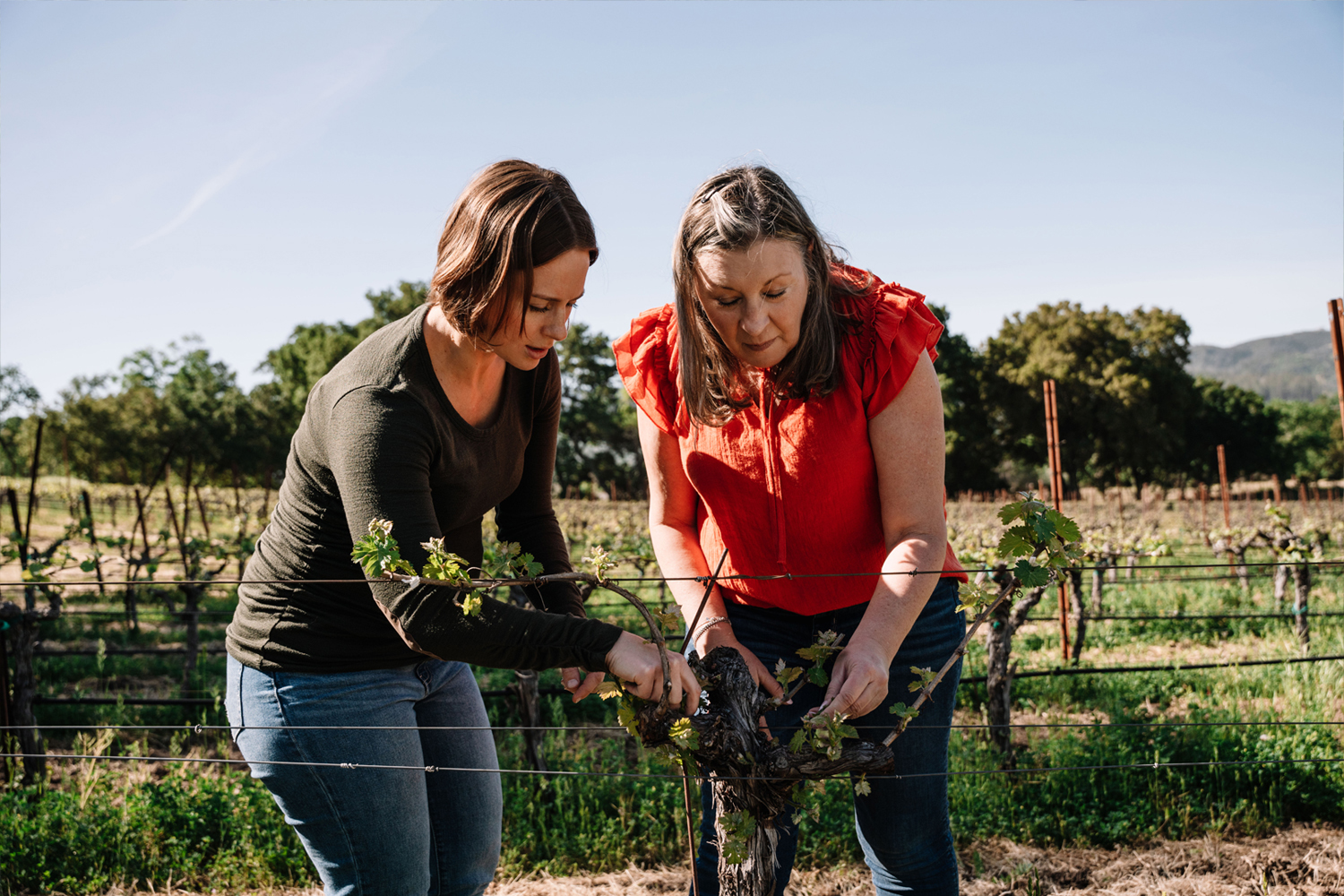 Markham Merlot 2018 | Wine.com