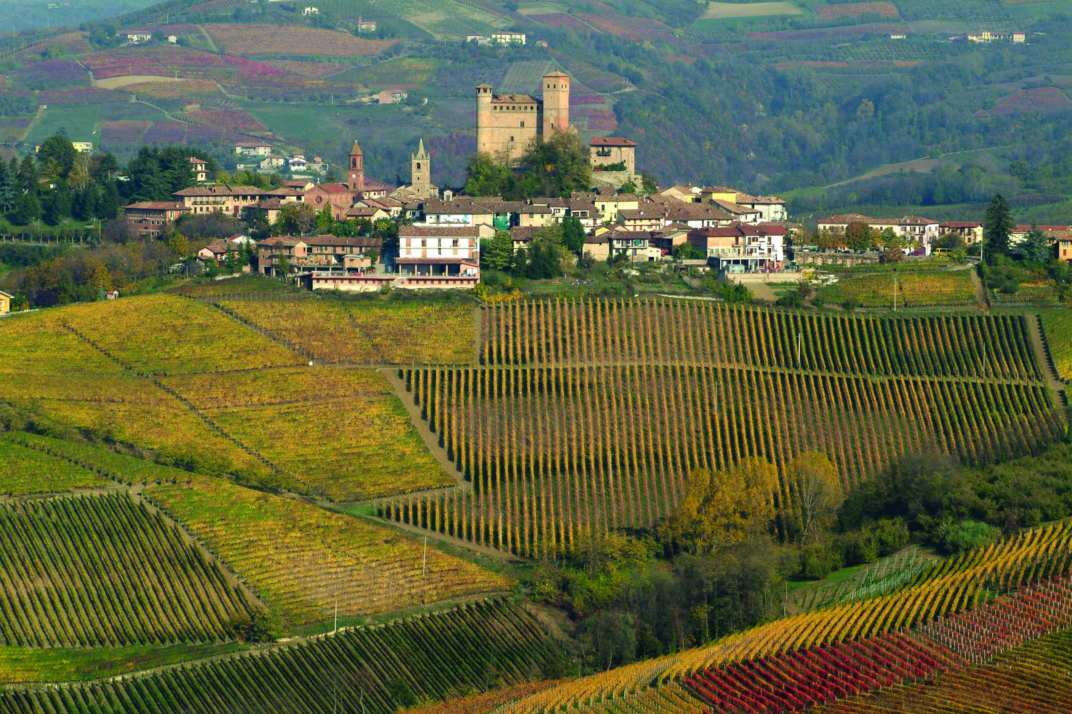 xbirlw6dcl8wveluaaus