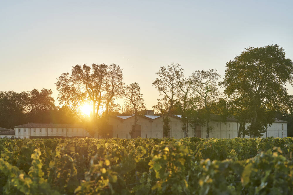 Chateau d'Armailhac 2018 | Wine.com