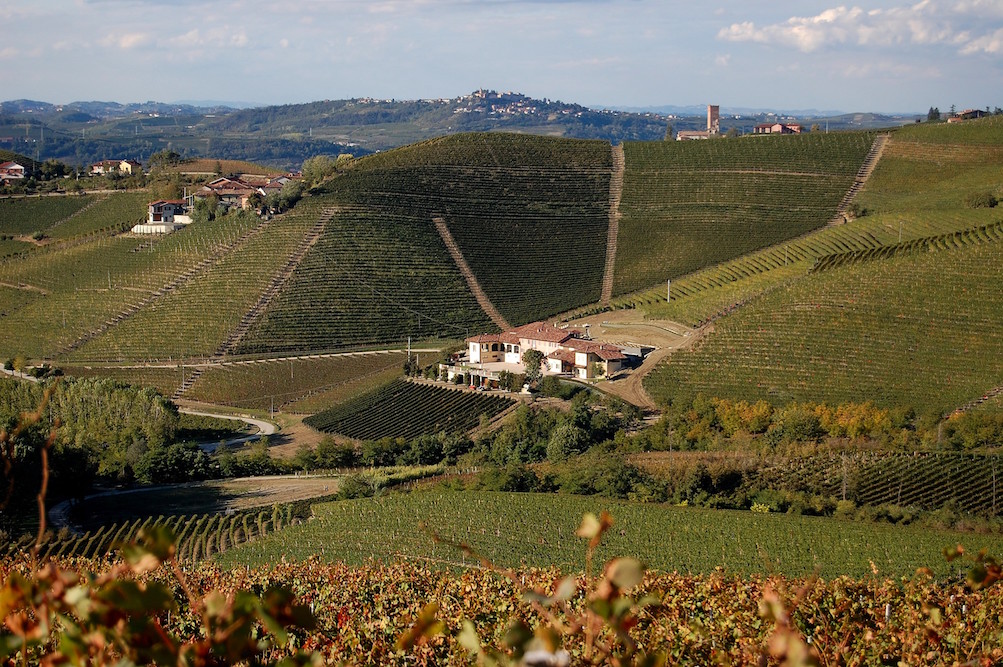 Marchesi Gresy 2017 di Martinenga Barbaresco