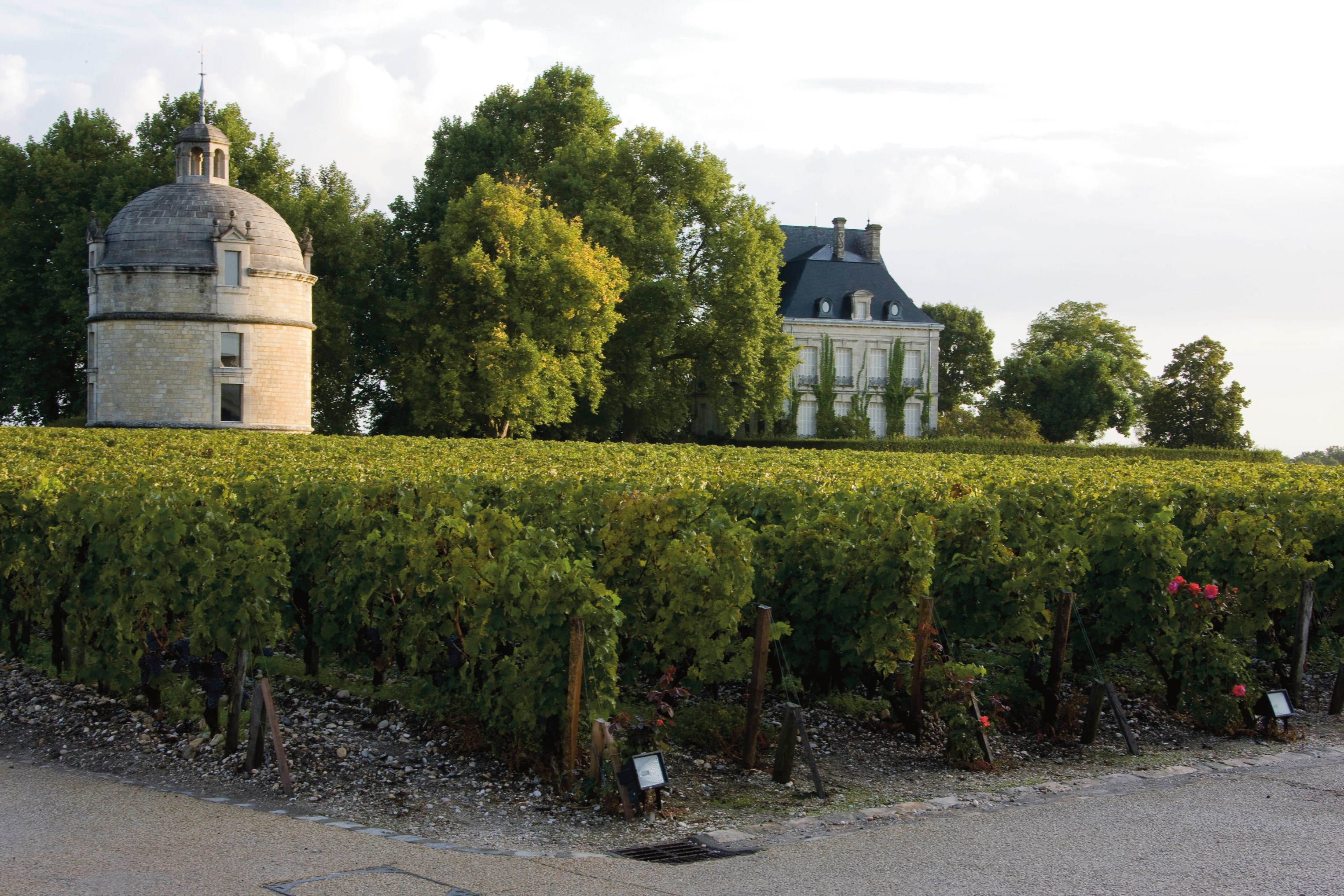 Chateau Latour 1986 | Wine.com