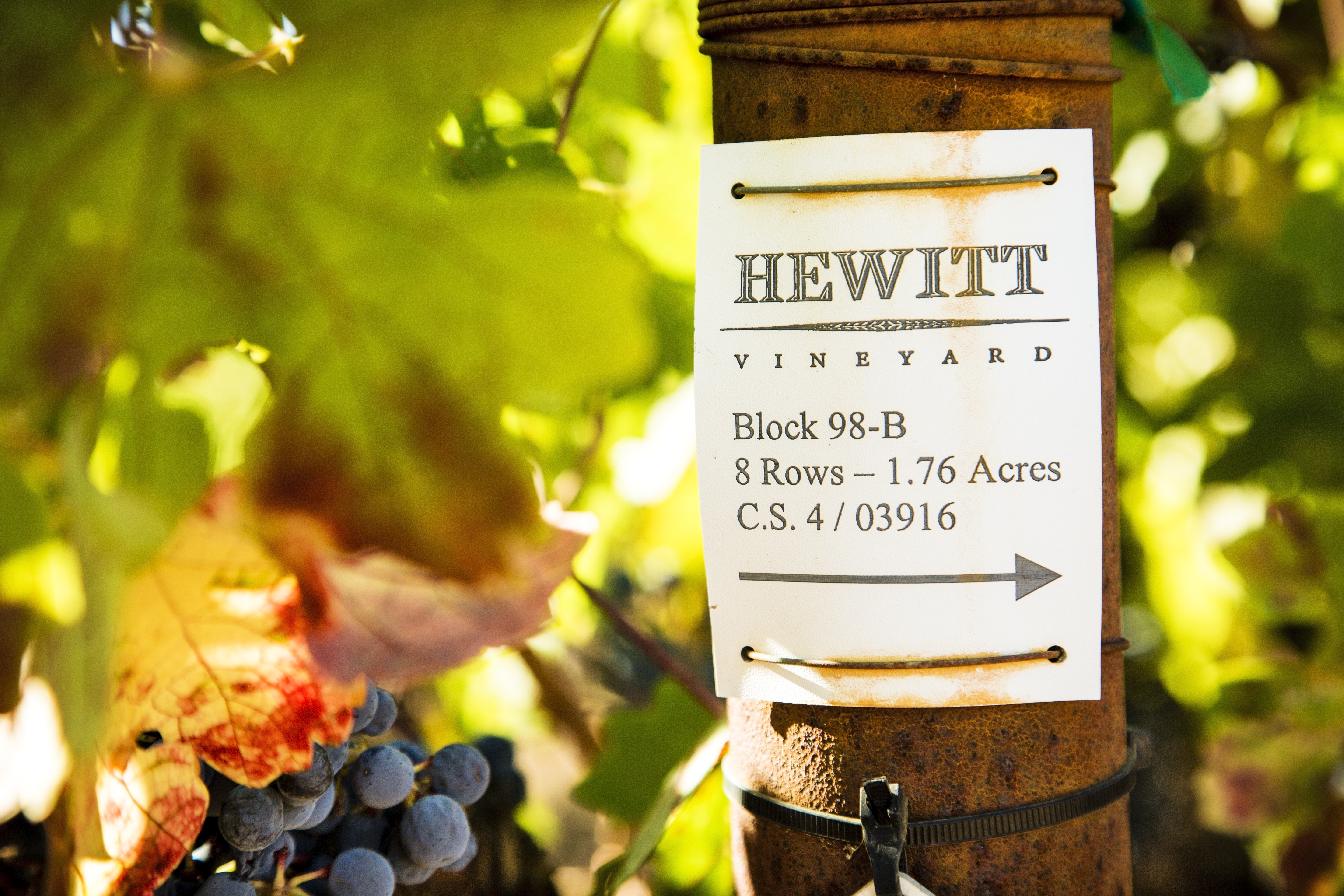 Hewitt Vineyard Cabernet Sauvignon 2009 | Wine.com
