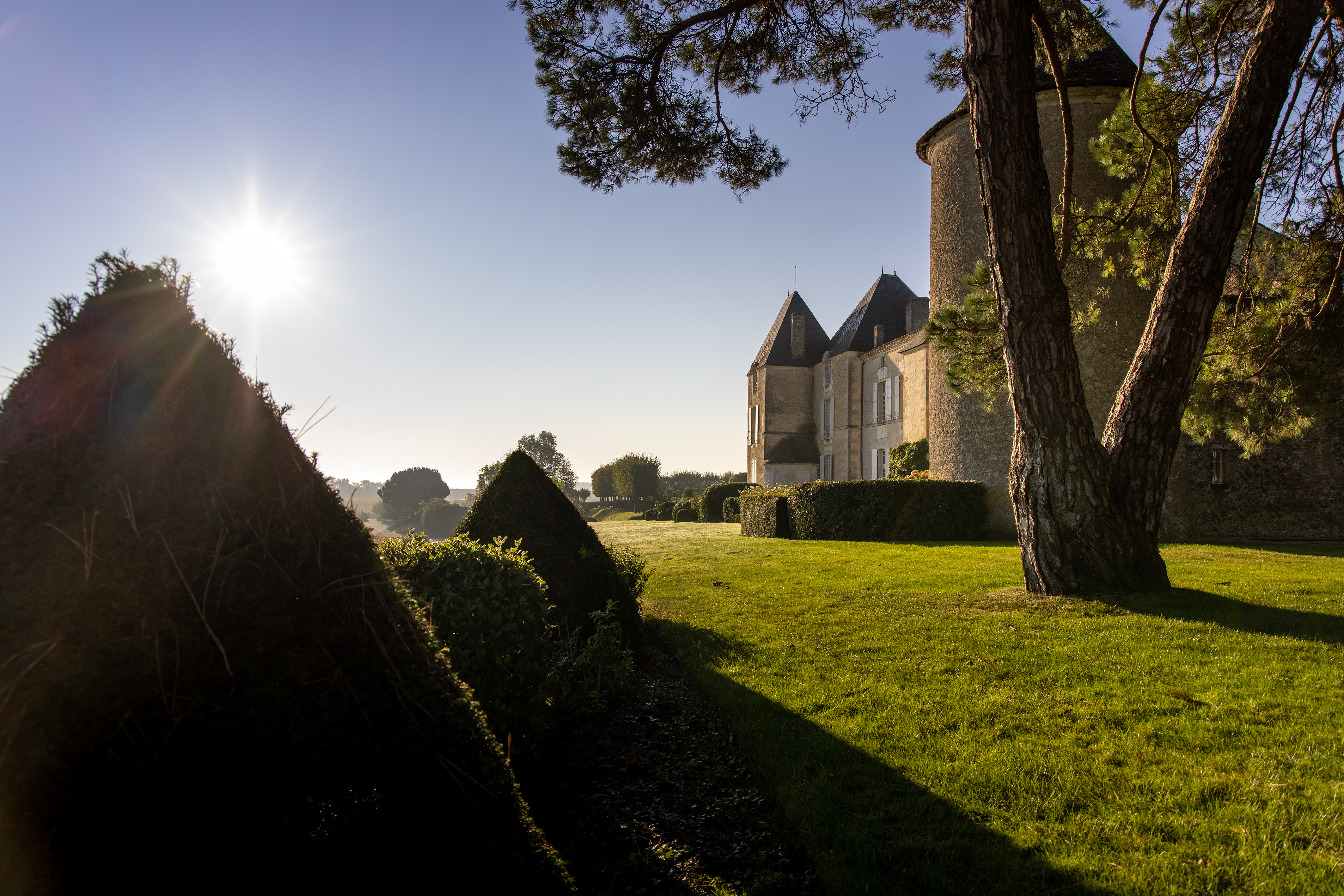 Sauternes d\'Yquem Chateau 2016