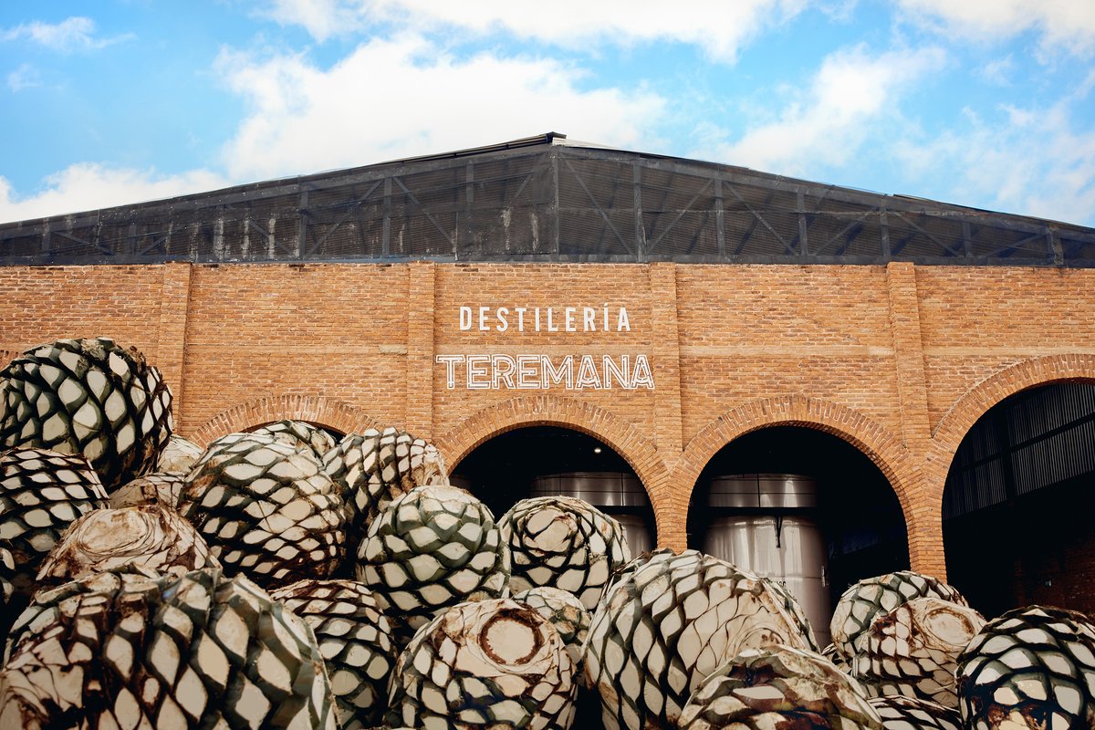 Teremana Blanco Tequila Wine Com