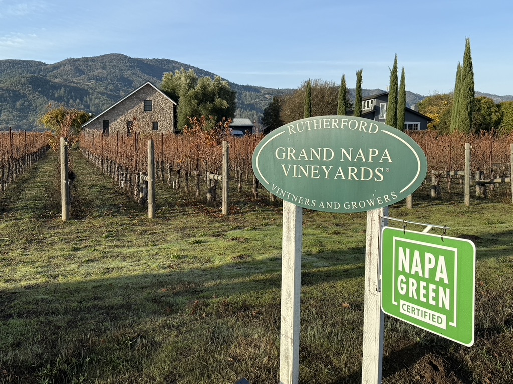 Grand Napa Vineyards Wine - Learn About & Buy Online | Wine.com