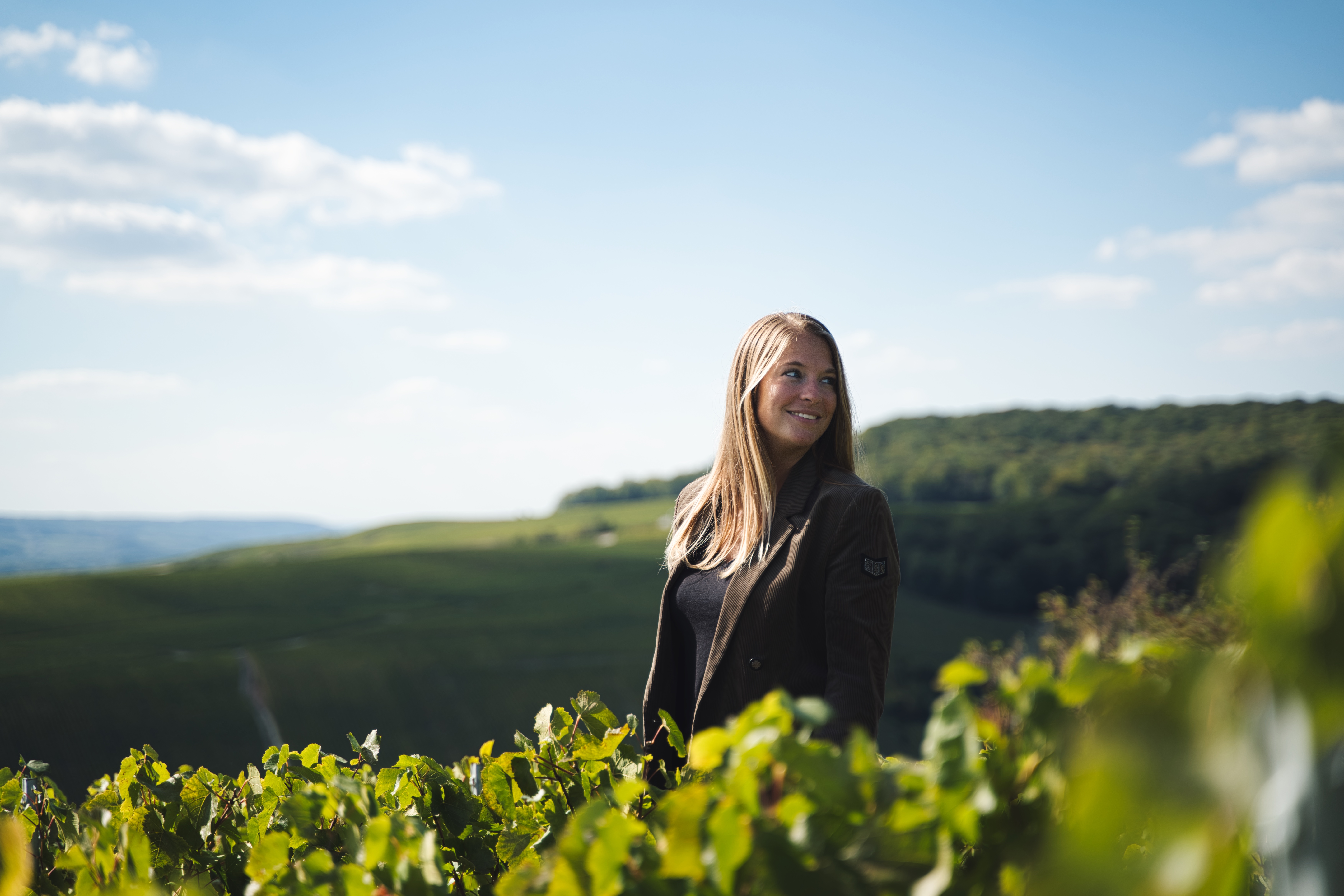 5 bottiglie di CHAMPAGNE Réserve Privée NM Henriot Rose…