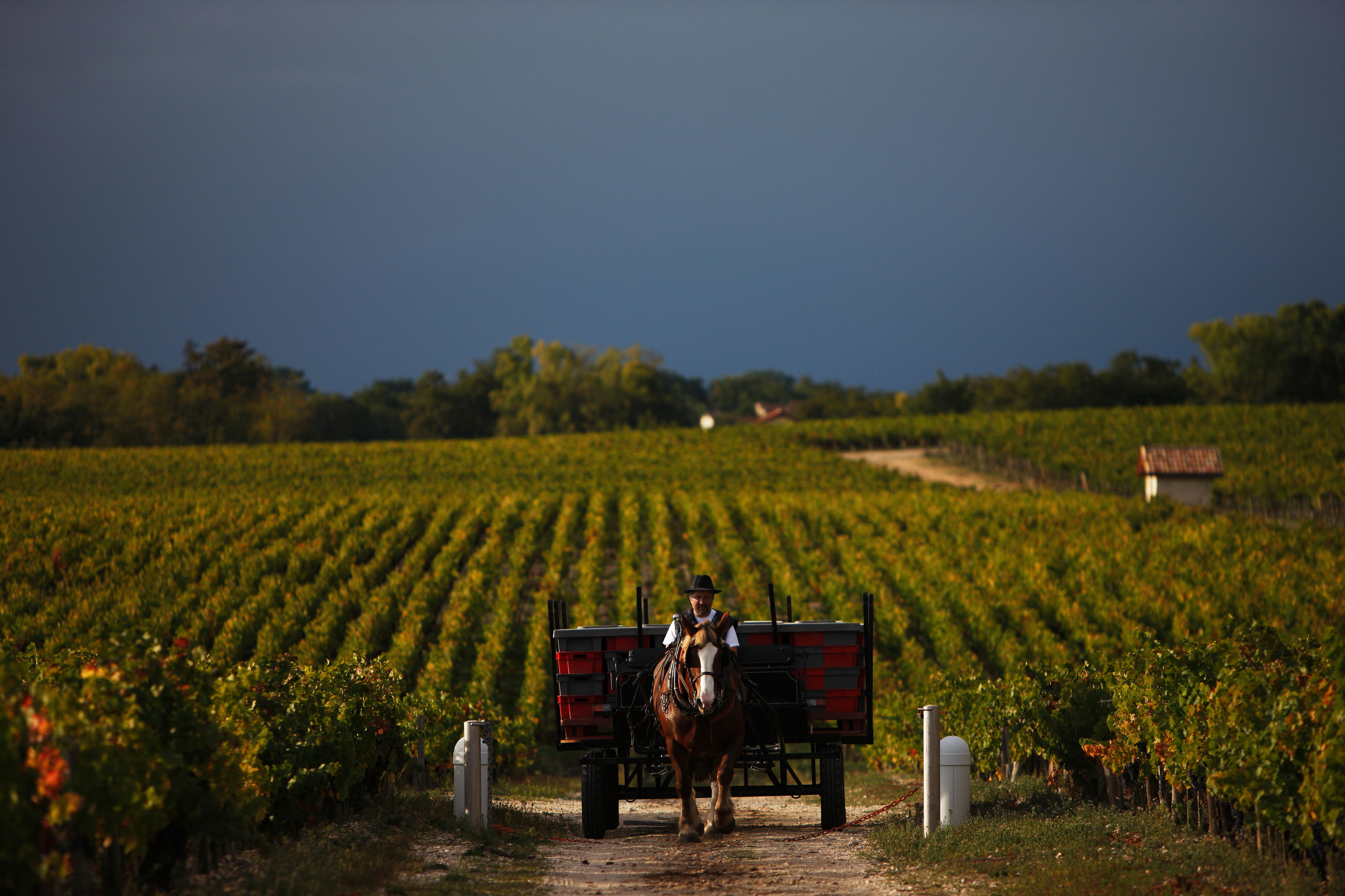 Chateau Pontet-Canet 2010 | Wine.com Chateau Pontet-Canet 2010 | Wine.com