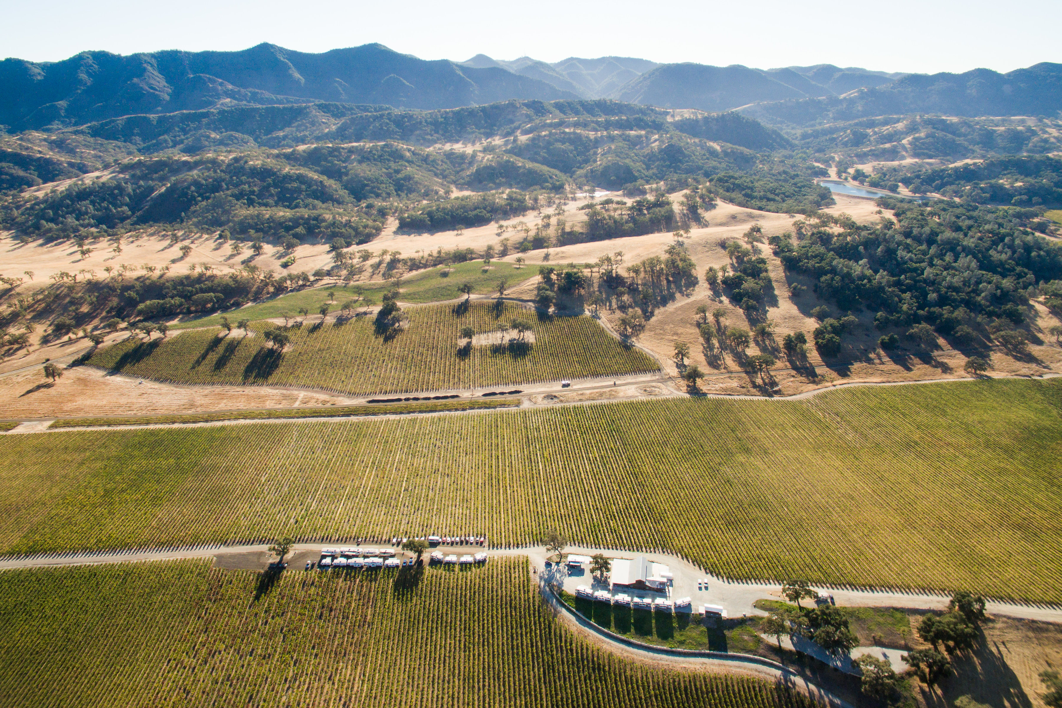 Ancient Peaks Paso Robles Renegade 2017 | Wine.com