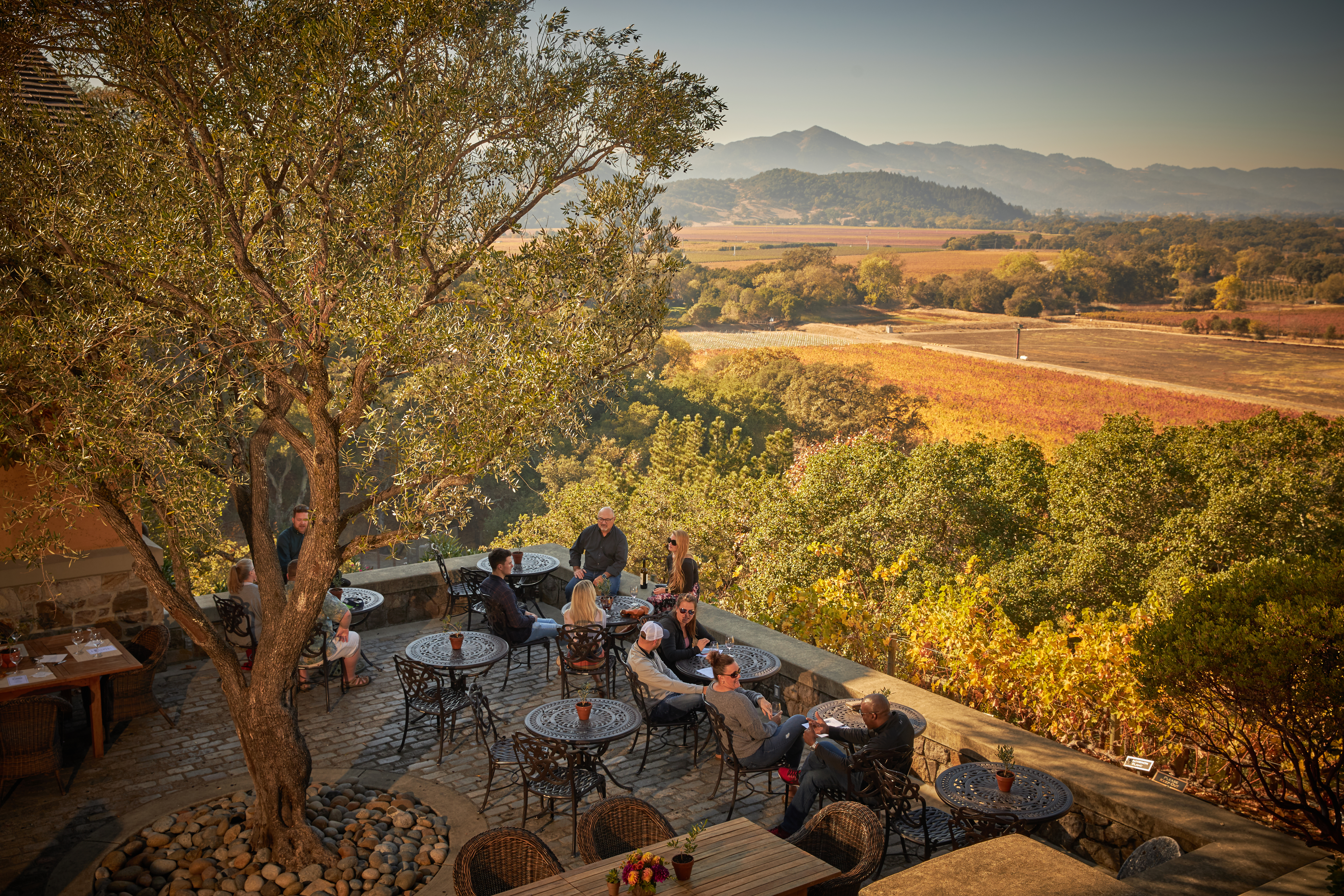 Silverado Mt. George Merlot 2021 | Wine.com