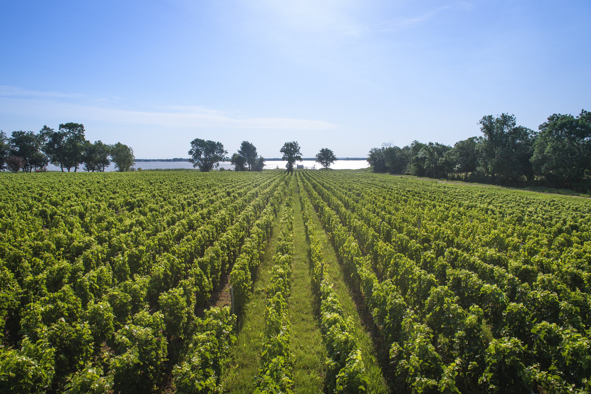 Chateau Lynch-Bages 2003 | Wine.com