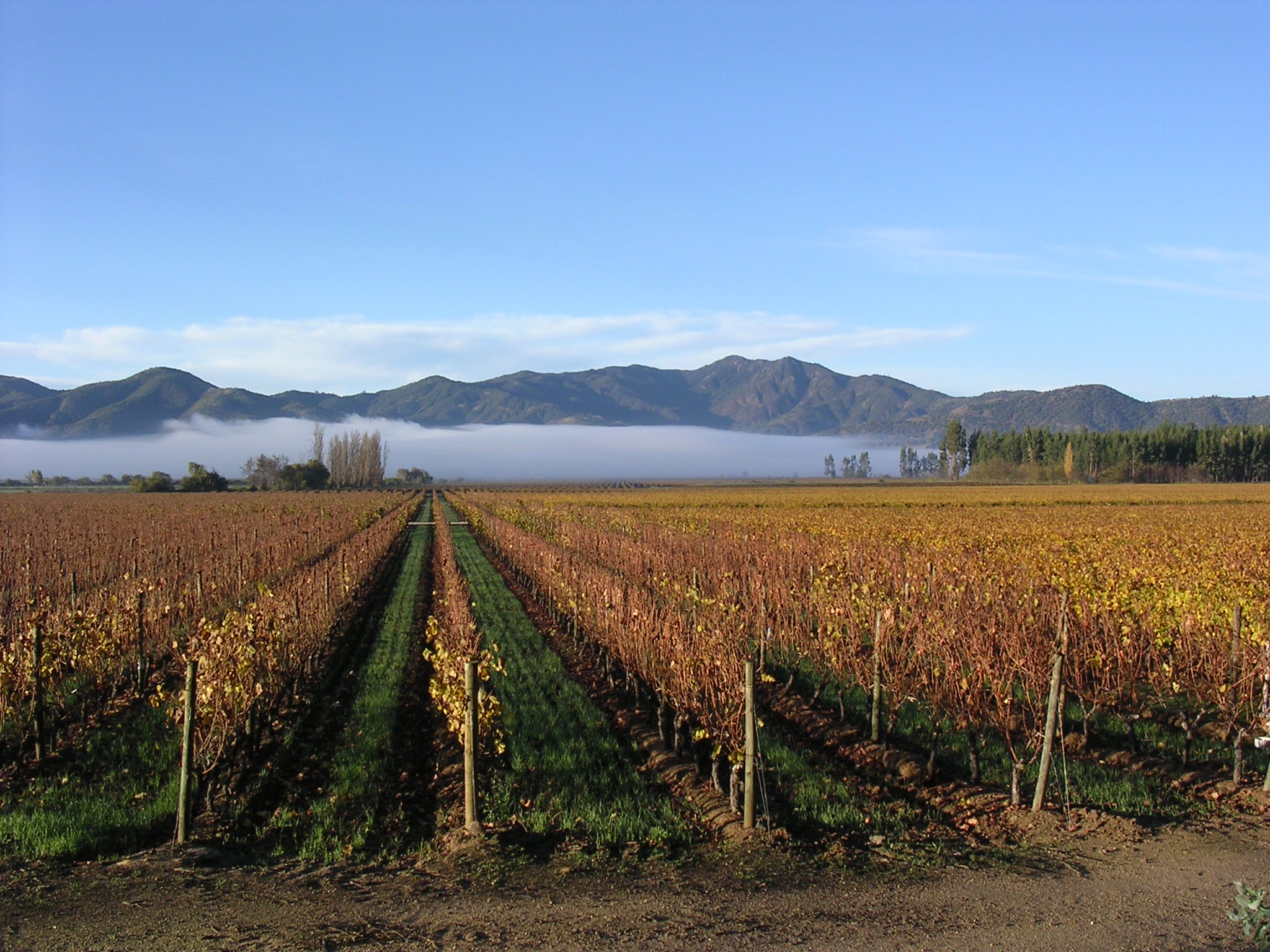 Los Vascos Le Dix 2018 | Wine.com