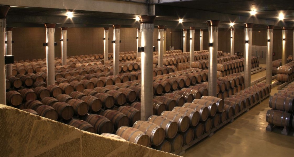 Aja Misbrug sympati Finca Allende Wine - Learn About & Buy Online | Wine.com