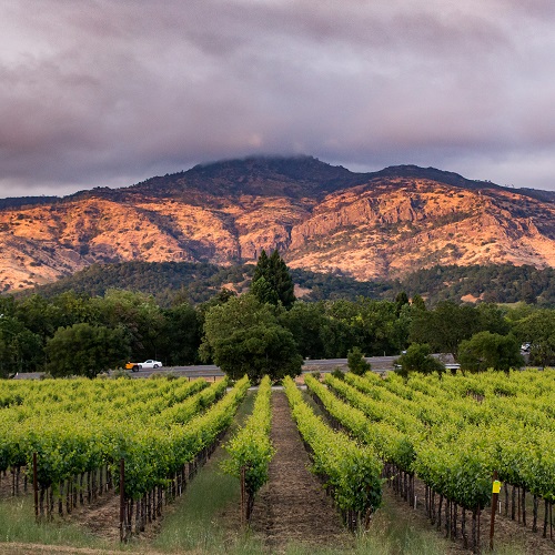 CHANDON BLANC DE PINOT NOIR