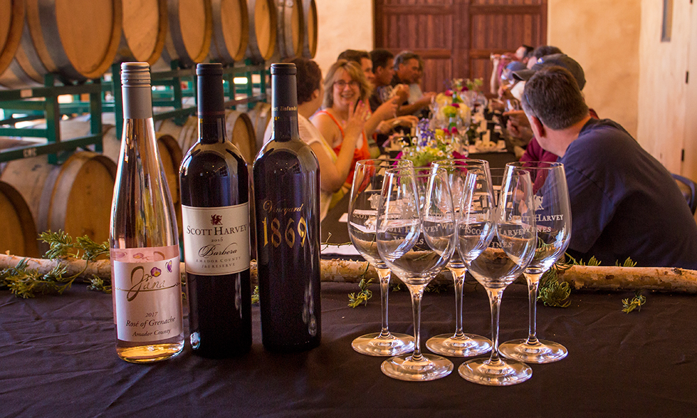 WINE 雑誌 まとめ 約50冊 ワイン王国 2024年 9月号 [雑誌] | ワイン王国編集部 | 料理・グルメ