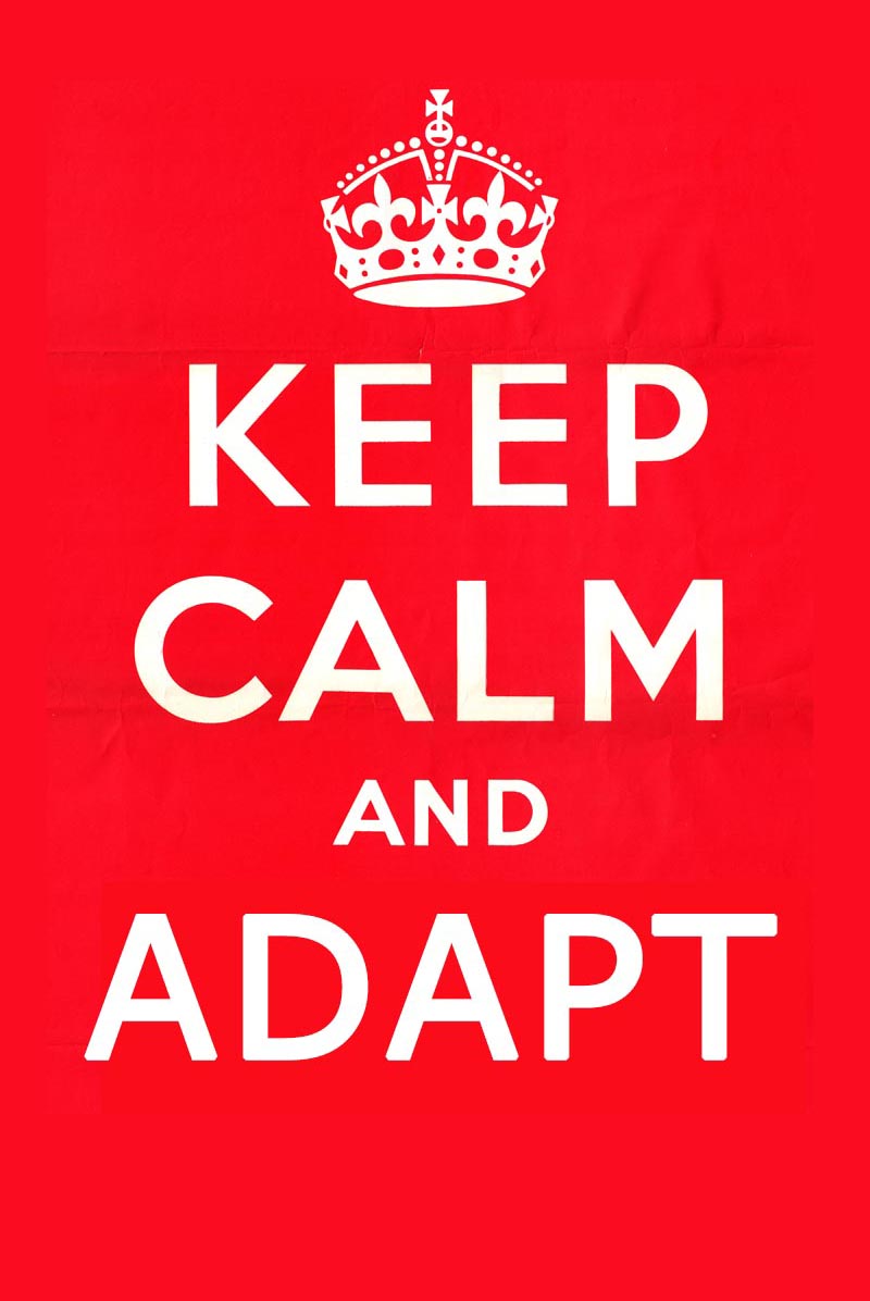 Keep Calm and Adapt: Online Value Propositions