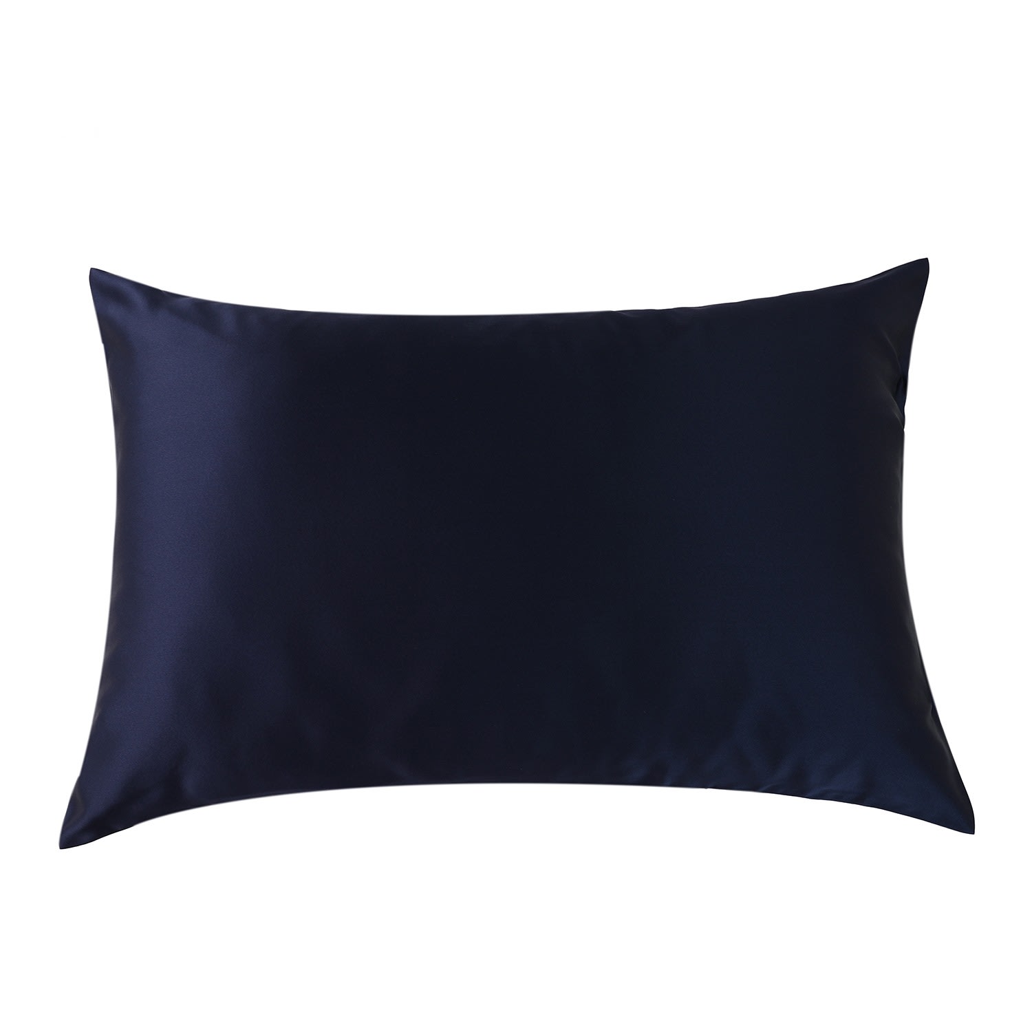 Luxury Pure Mulberry Silk Pillowcase Drape Collection Greens In Blue Corn Us Queen Soft Strokes Silk