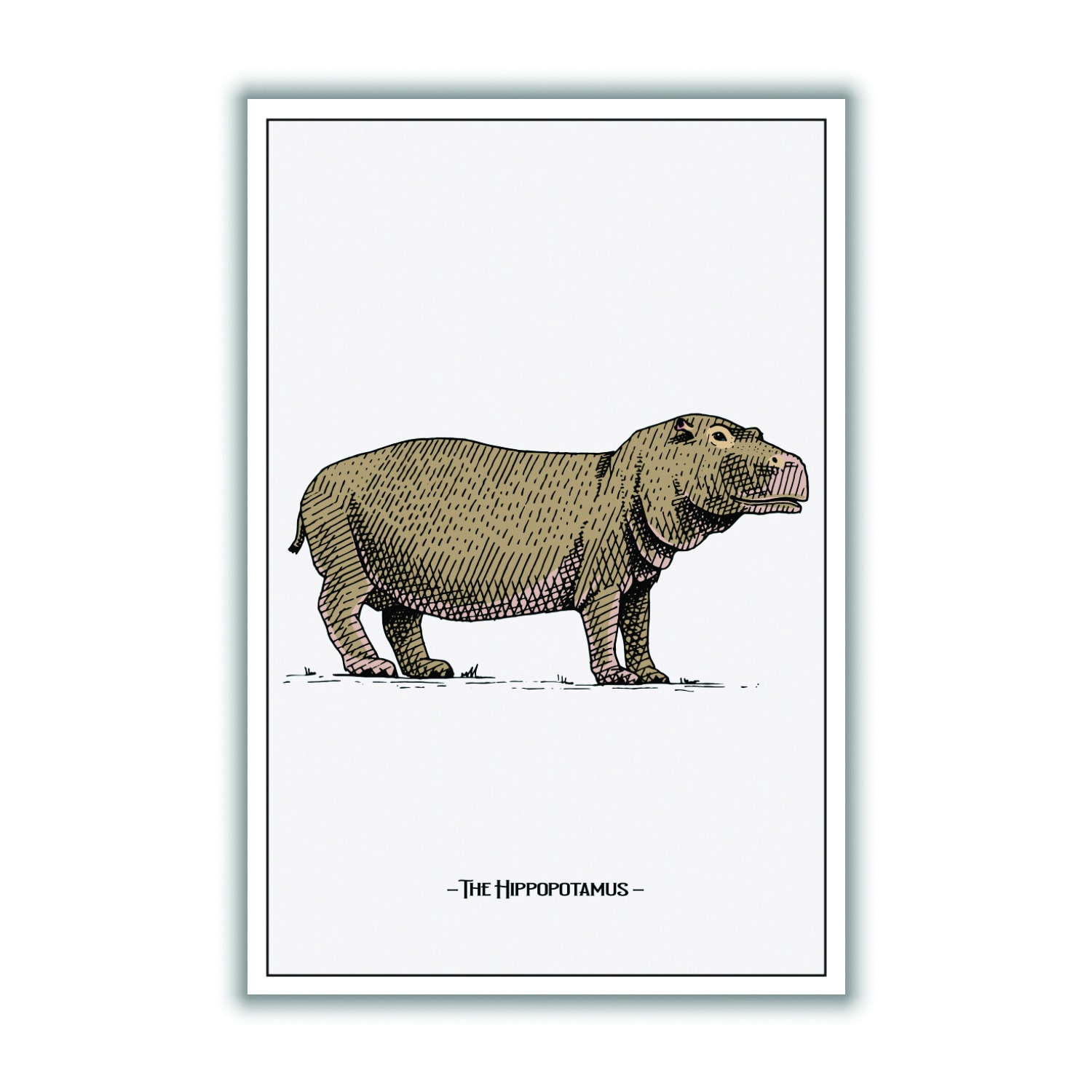 Brown The Hippopotamus Extra Large Stanley Print House