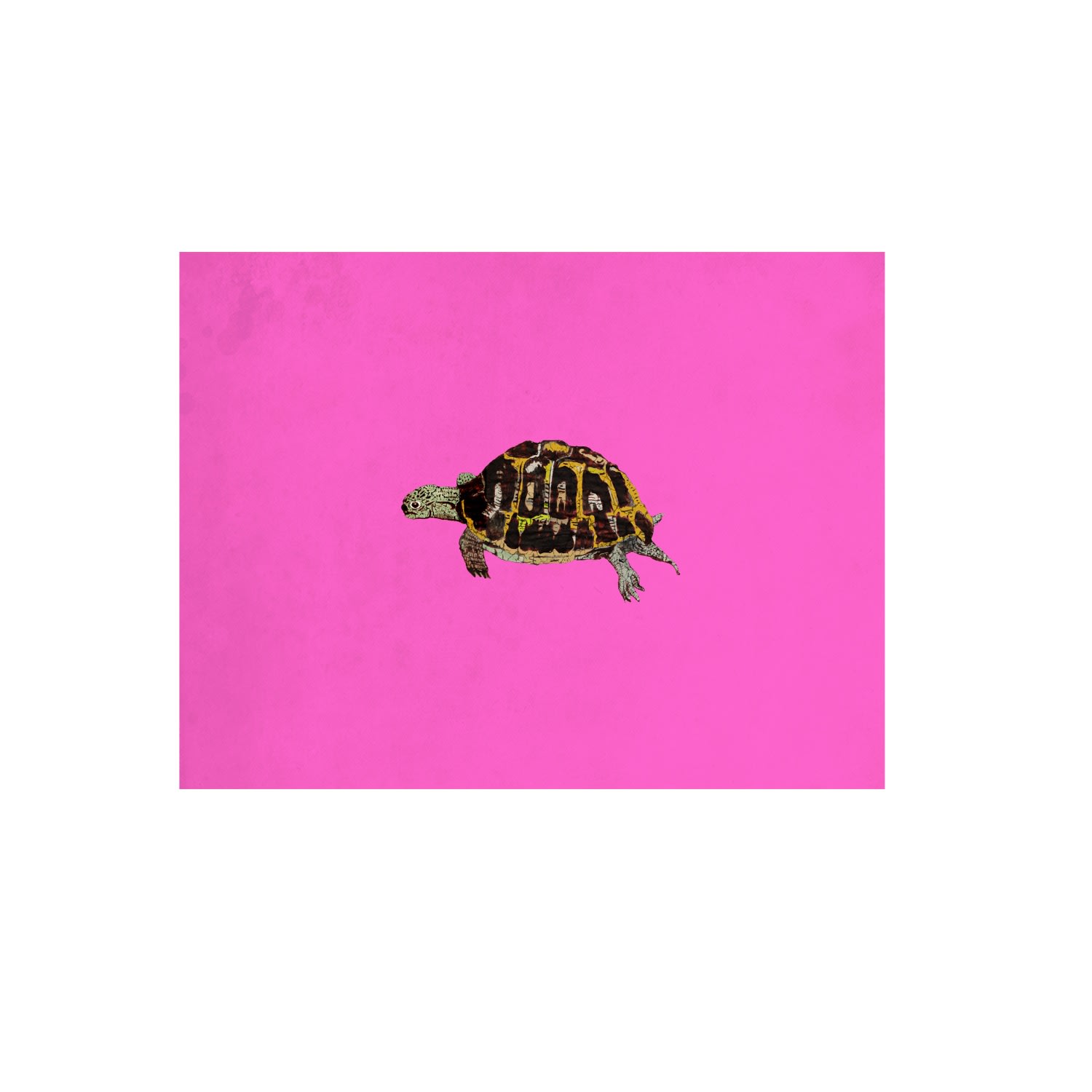 Pink / Purple The Little Tortoise Limited Edition Signed Print Jessica Russell Flint