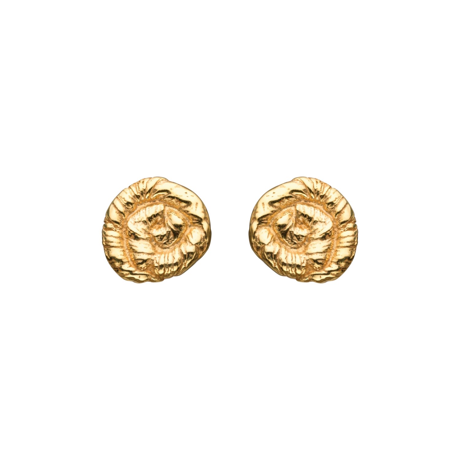 Women’s Nautilus Earrings Gold Eva Remenyi