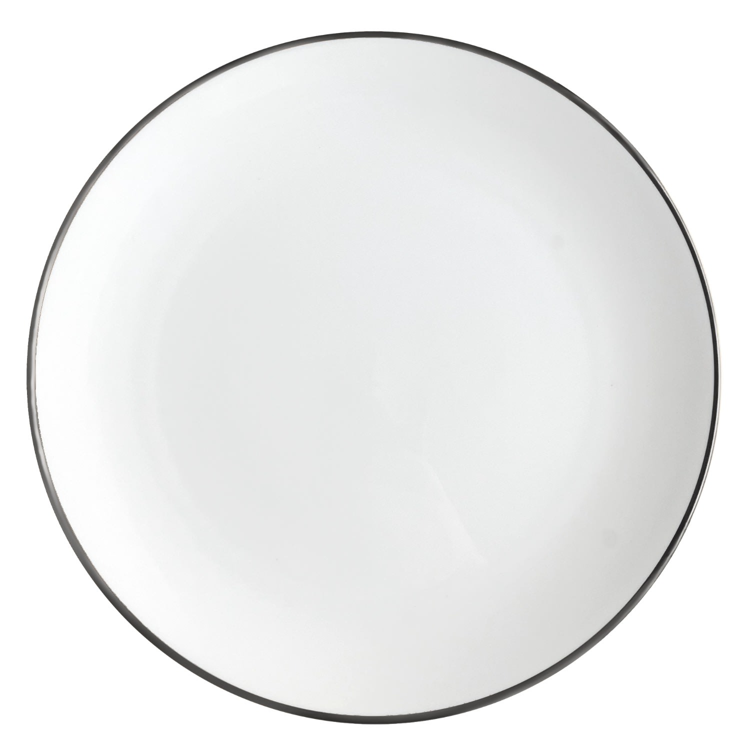 Silver Alex Platinum - 10 In. Dinner Plate Twig New York