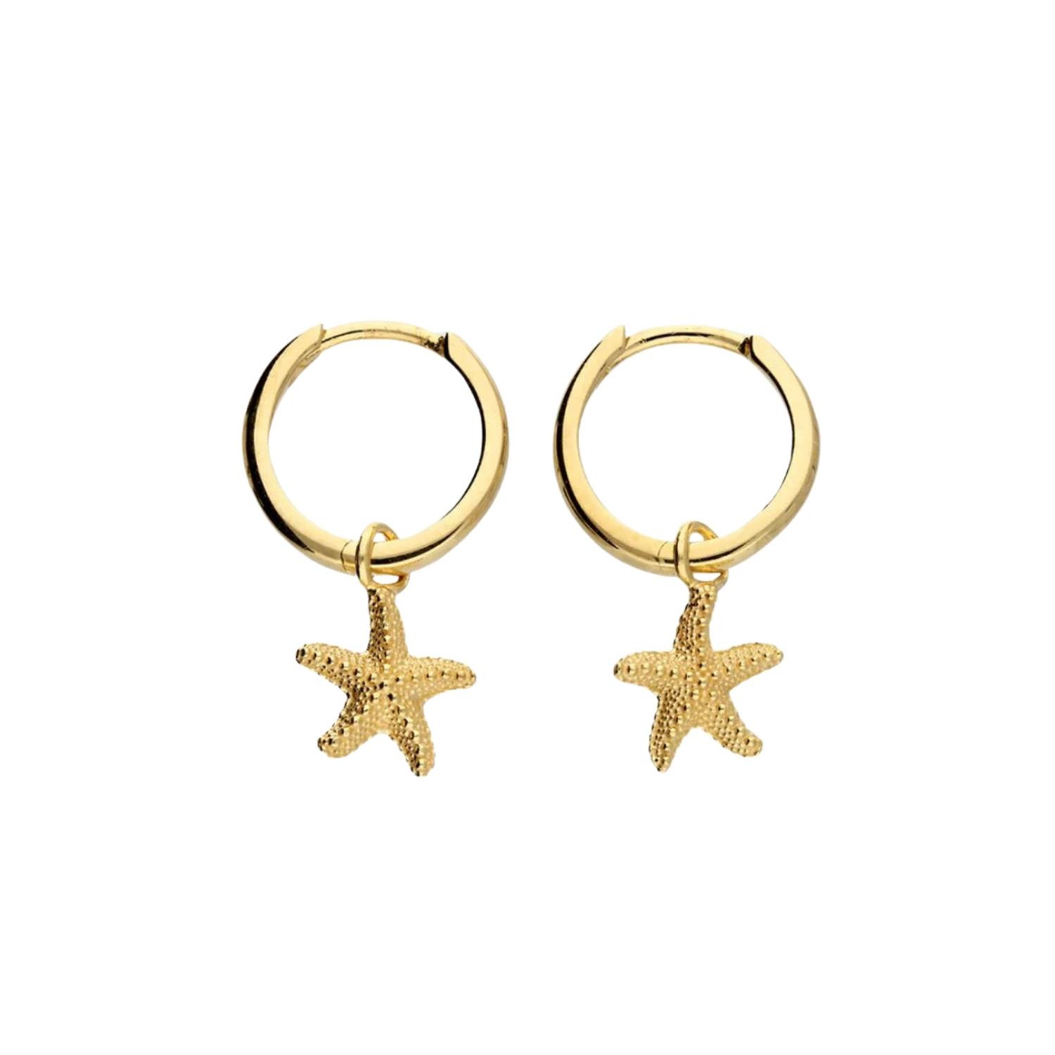 Women’s Starfish Huggie Earrings Gold Plated Fiyah Jewellery