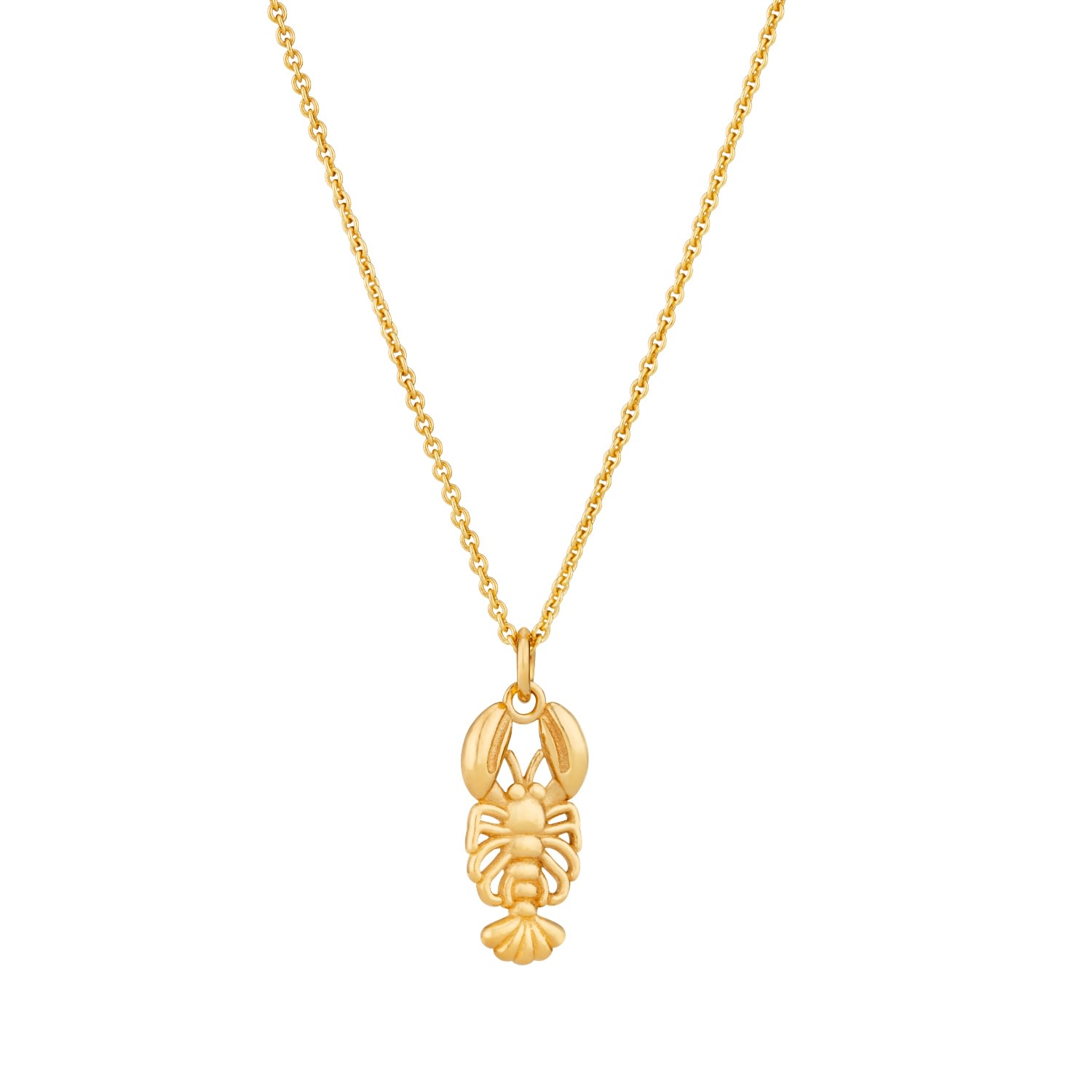Women’s Yellow Gold Plated Lobster Charm Pendant Necklace Posh Totty Designs