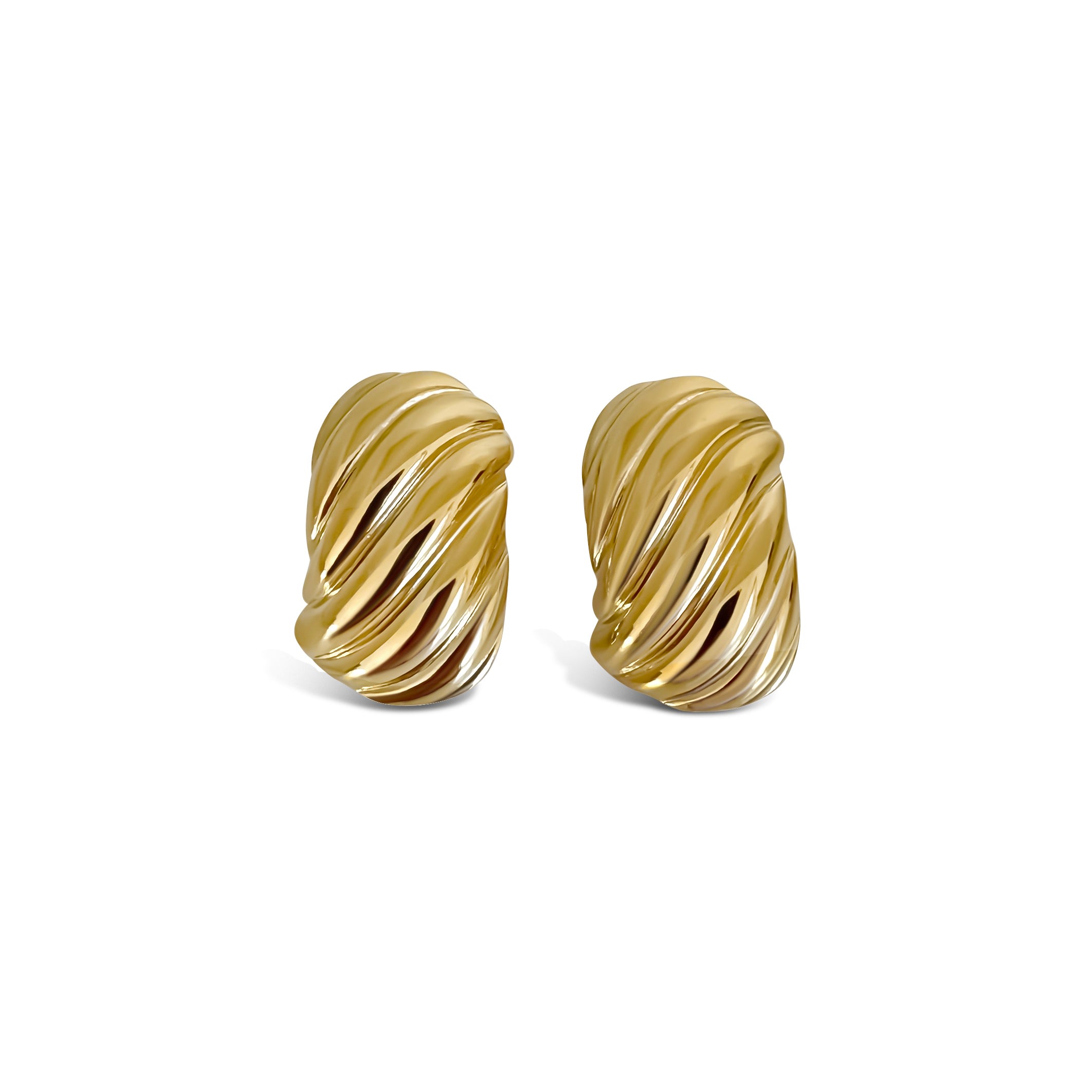 Women’s Gold Chunky Ribbed Earrings Anisa Sojka