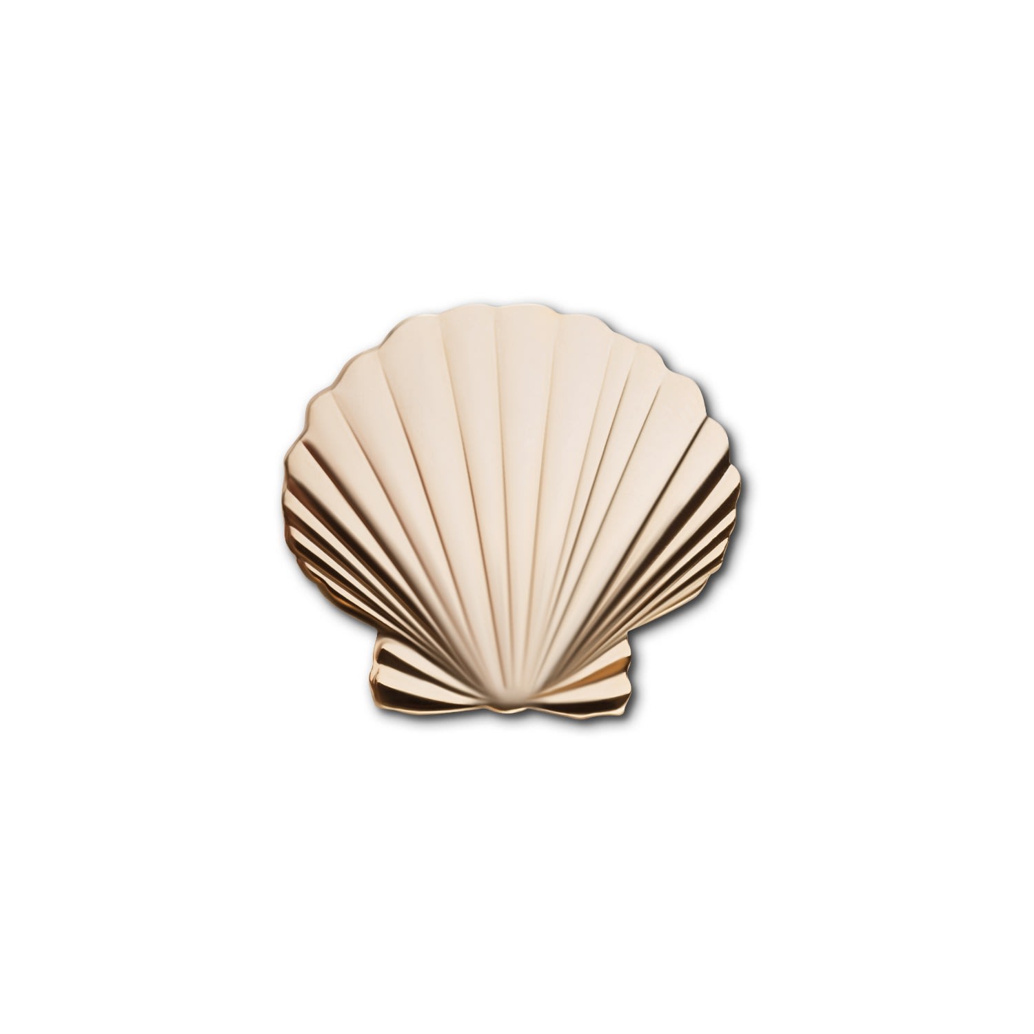 Women’s Golden Pin Seashell Make Heads Turn