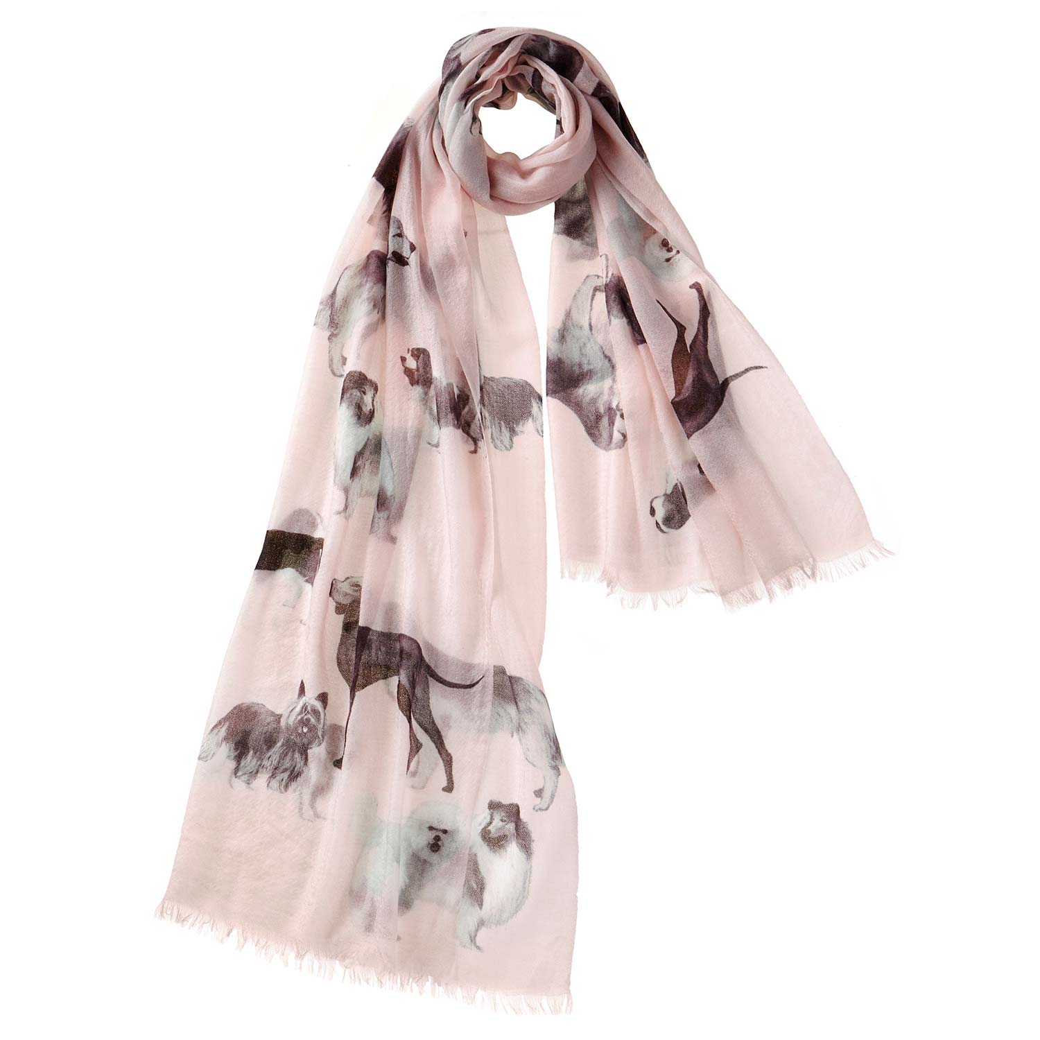 Women’s Pink / Purple Dog’s Life Scarf - Blossom Alpine Cashmere