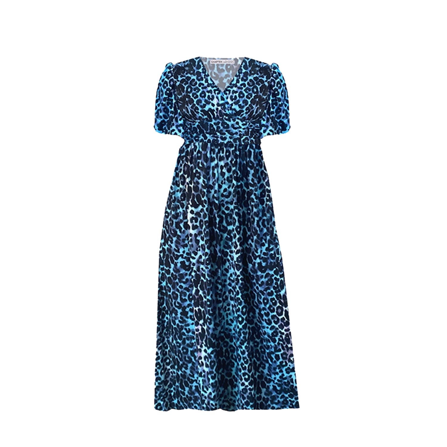 Women’s Evelyn Maxi Dress - Blue Animal Print Large Chapter London