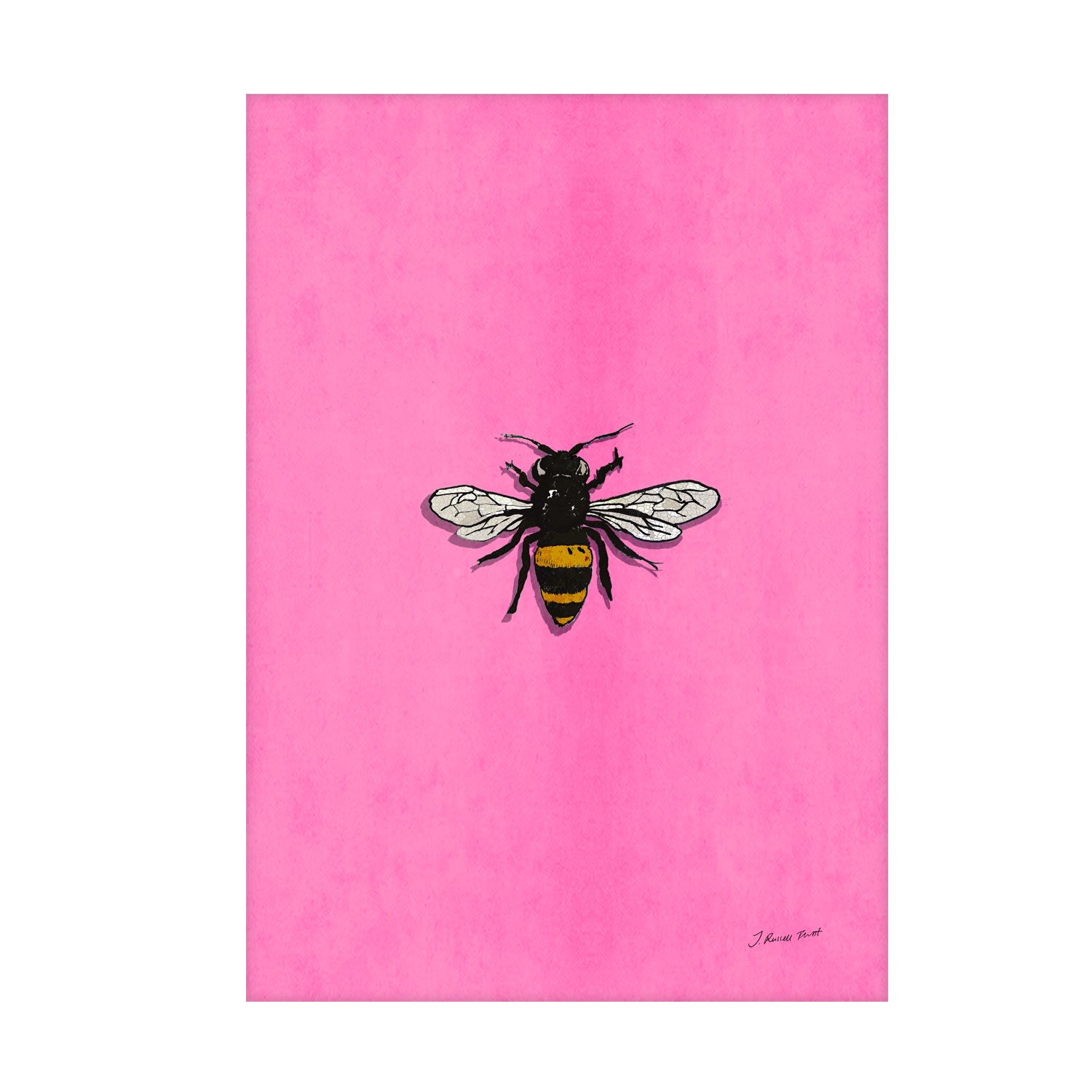 Pink / Purple The Bee Signed Print Jessica Russell Flint