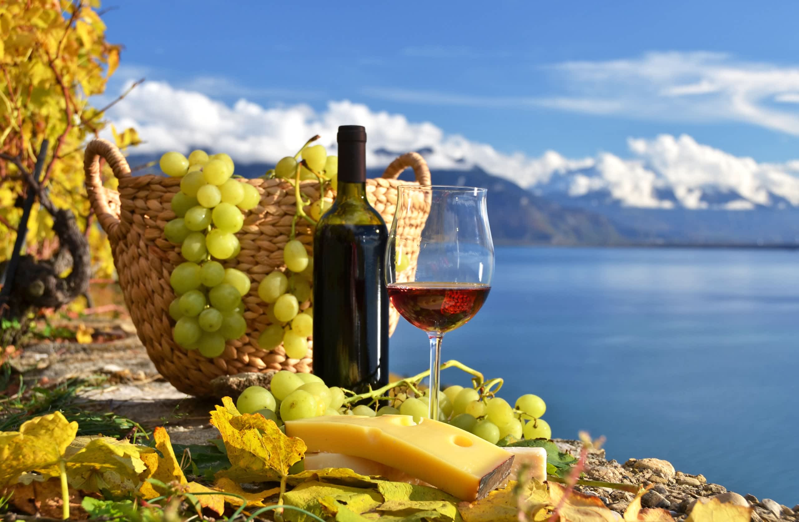 Вино море горы