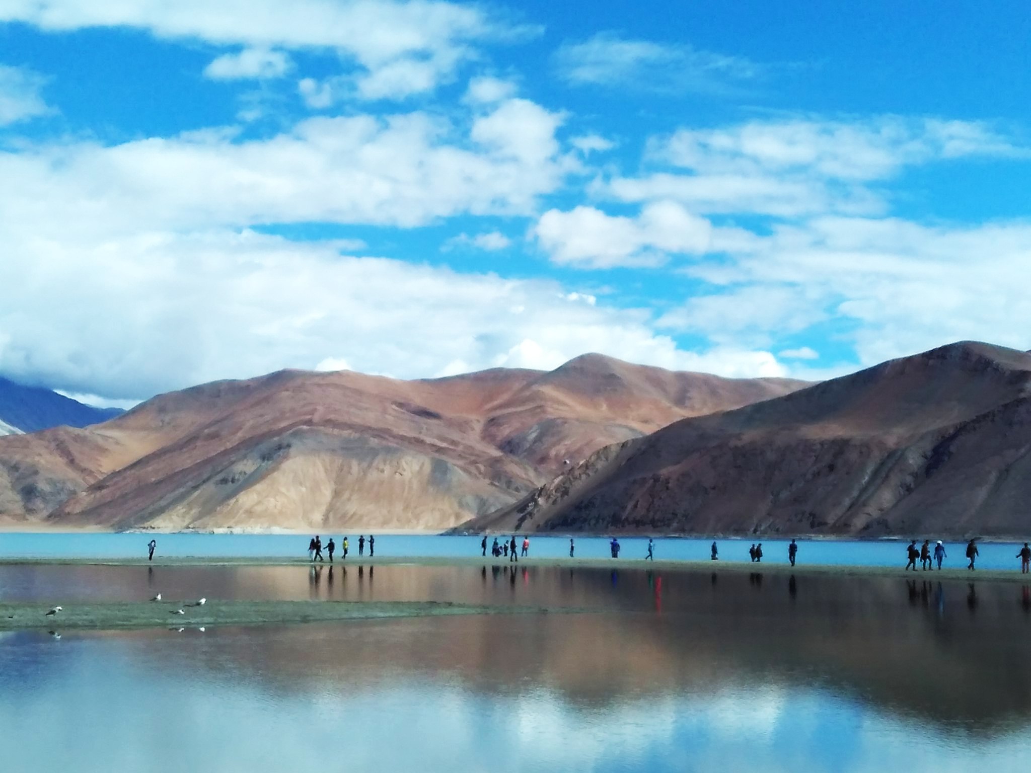 Different shades of the Pangong Tso