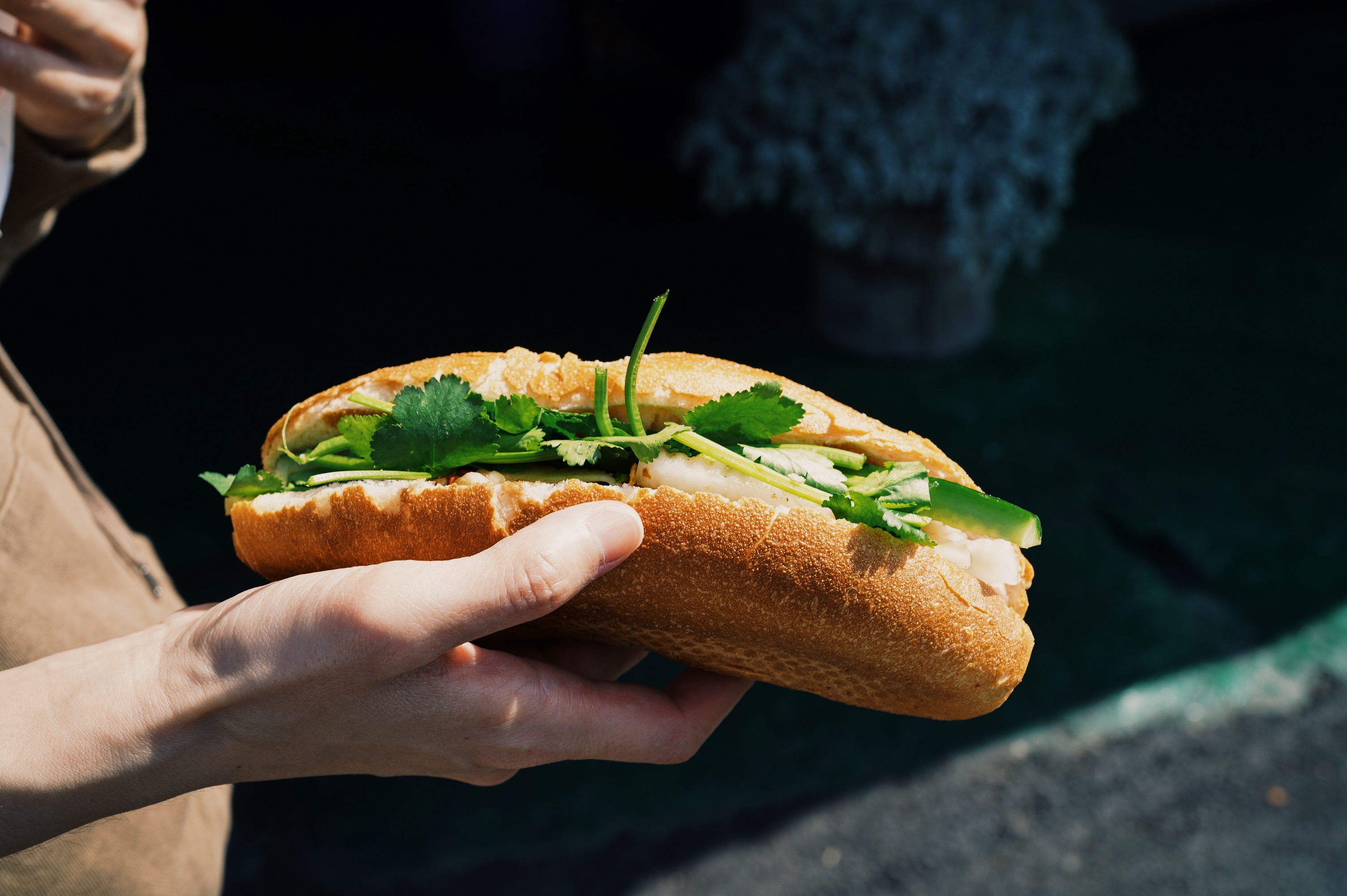 台南佳里｜三姐妹越南烤乳豬