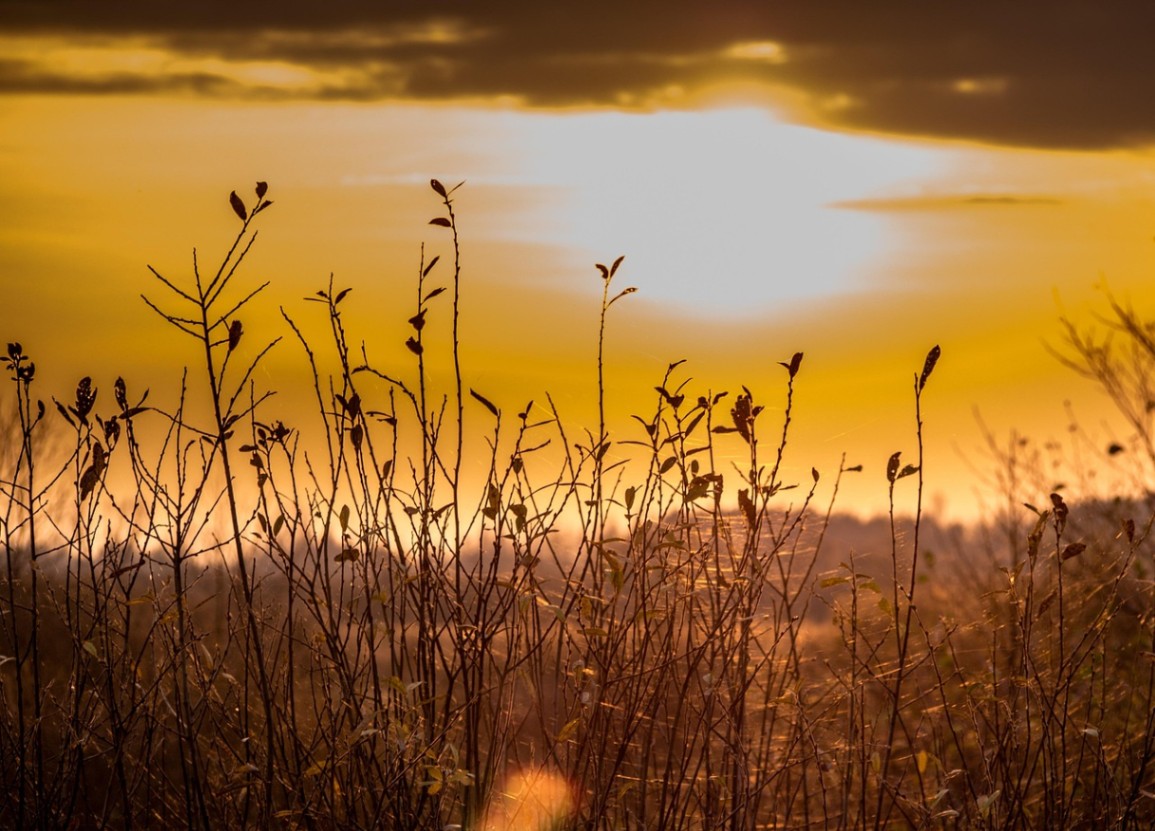 School trips to Podlasie – Discover the Magic of Eastern Regions of Poland School trips to Podlasie – Discover the Magic of Eastern Regions of Poland
