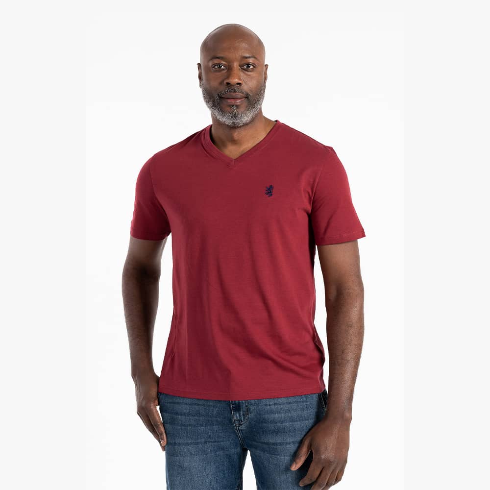 Men&#039;s Garth V-Neck Pima Short Sleeve T-Shirt