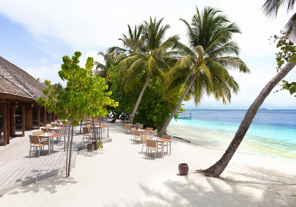 4* VILAMENDHOO ISLAND RESORT & SPA, Maldives, South Ari Atoll: 7 Nights Full Board Stay + Flights + Seaplane Transfers from R43 860 pps!