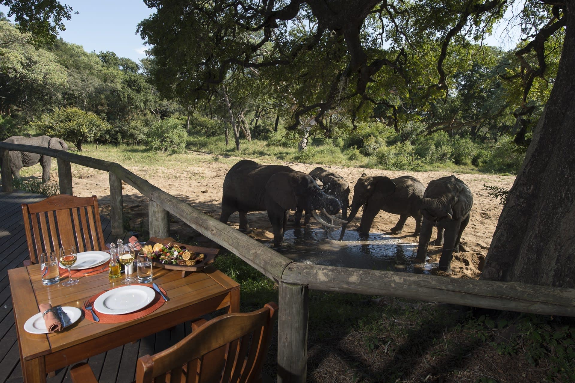 FLY IN Tintswalo Safari, Greater Kruger, Manyeleti, Hoedspruit- 3 Nights Stay in an Explorer Suite for 2 + Activities &amp; All Meals &amp; House Drinks ex JHB/CPT!