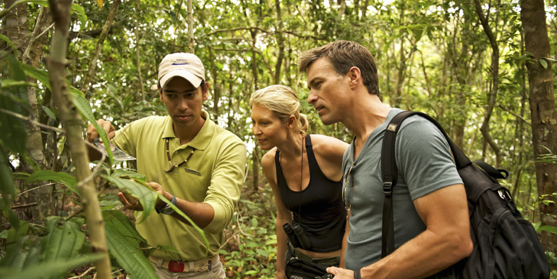 Anavilhanas Jungle Lodge Tours - Jungle Hike Anavilhanas Jungle Lodge Tours - Jungle Hike